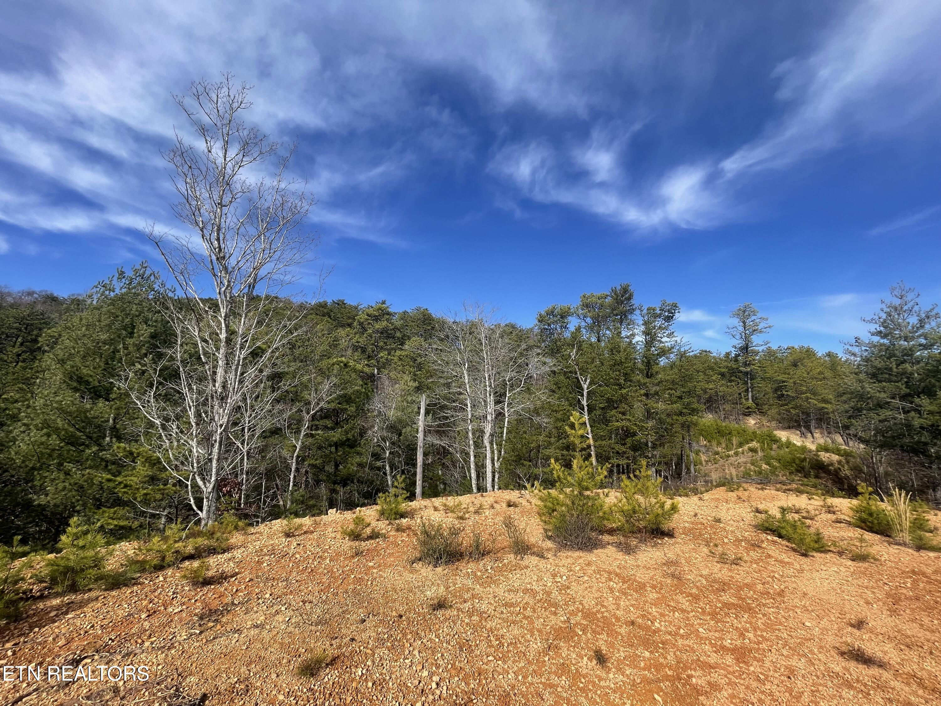 Lot 36 Bullet Mountain Drive Tellico Plains TN 37385