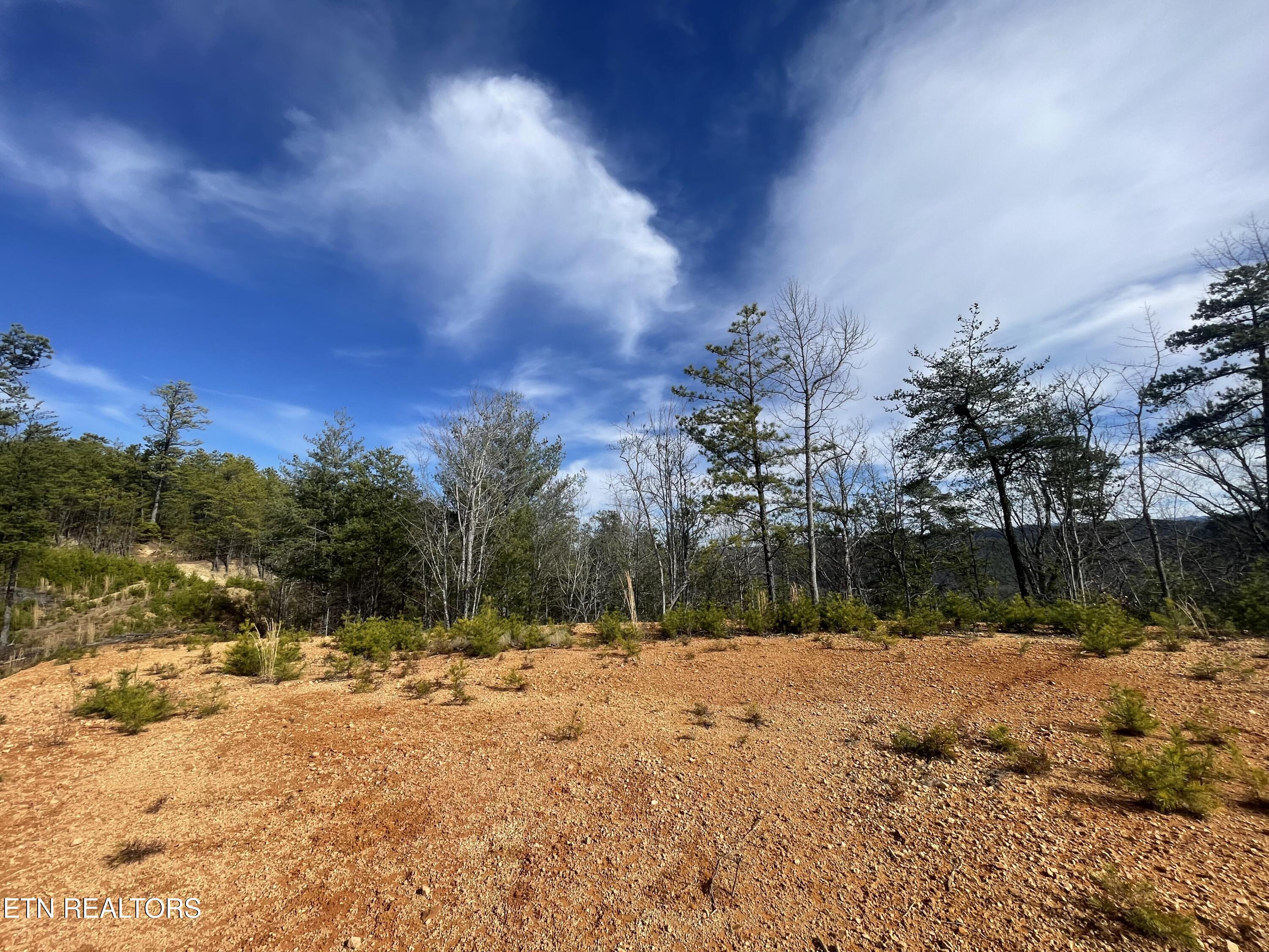 Lot 36 Bullet Mountain Drive Tellico Plains TN 37385