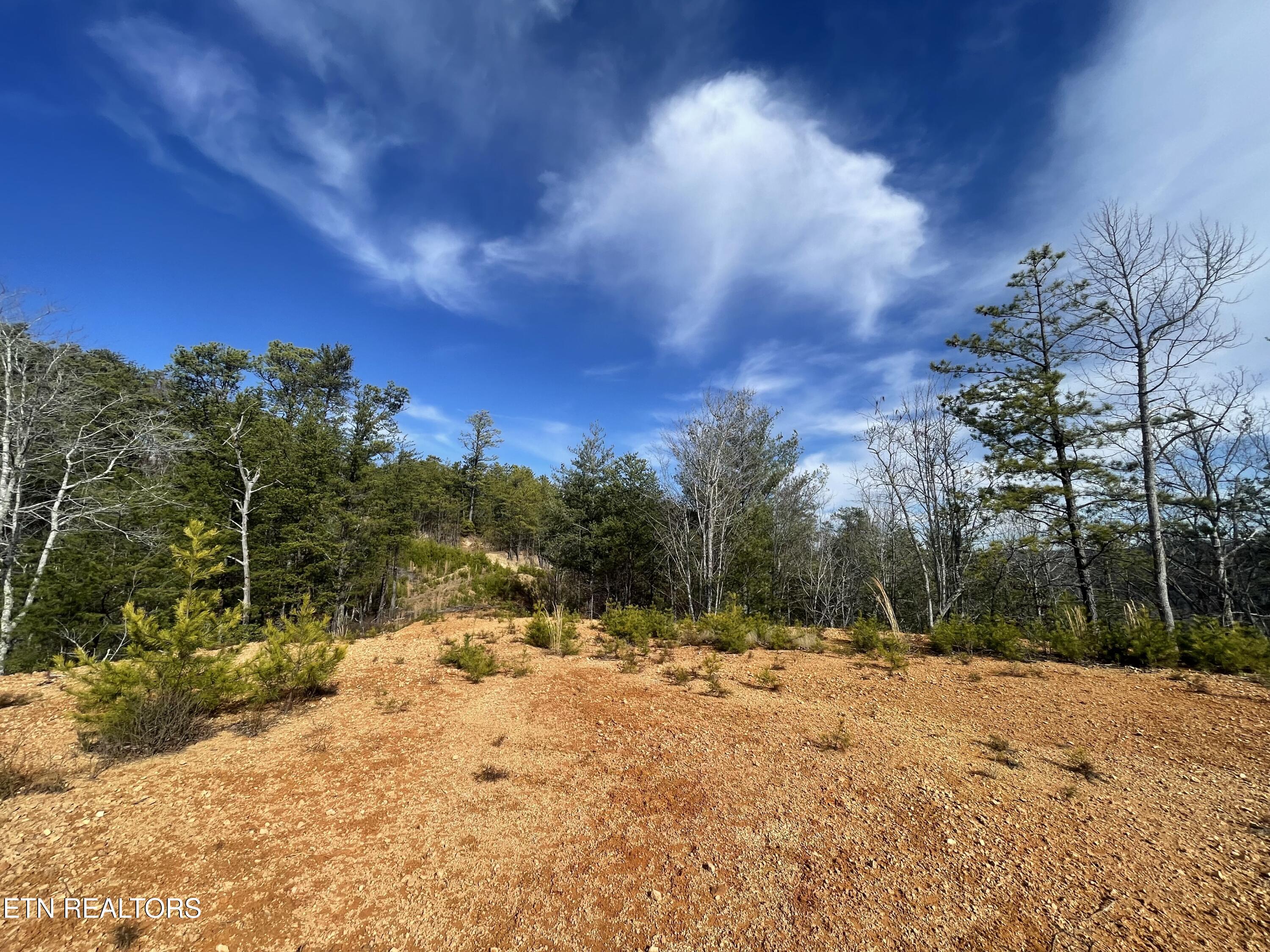Lot 36 Bullet Mountain Drive Tellico Plains TN 37385