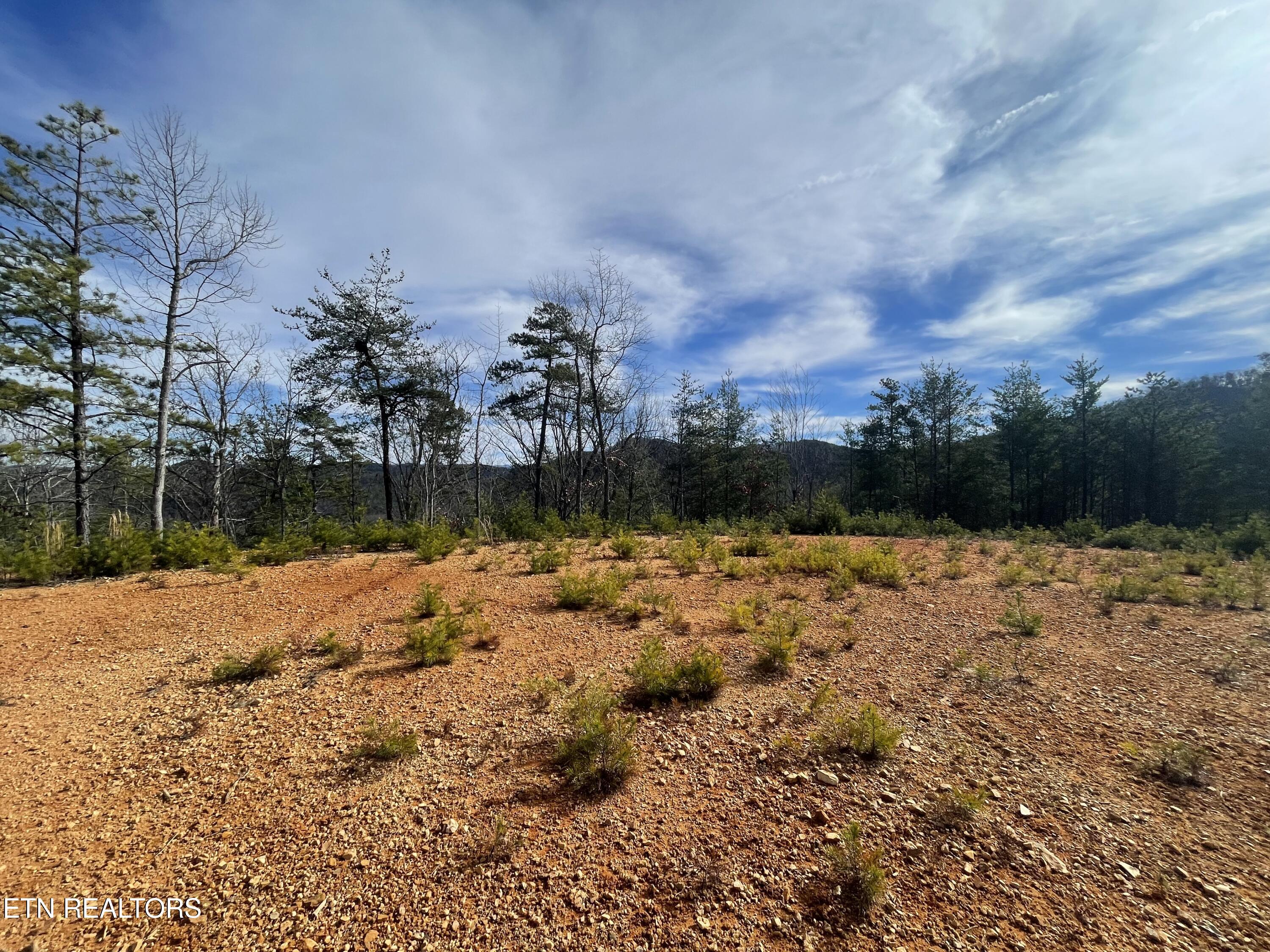 Lot 36 Bullet Mountain Drive Tellico Plains TN 37385