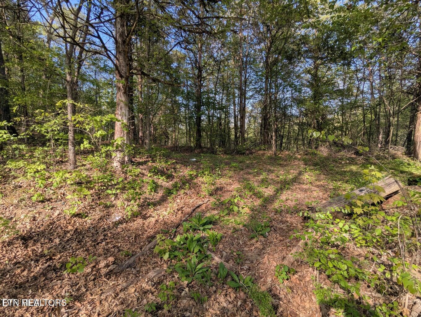 2424 Midway Road Knoxville TN 37914