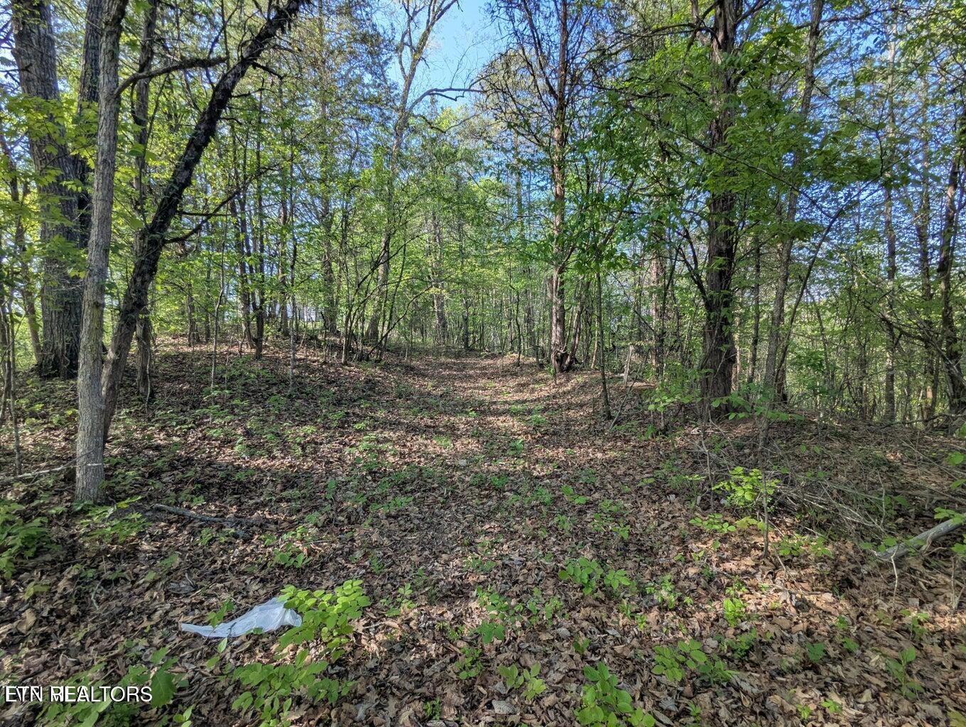 2424 Midway Road Knoxville TN 37914