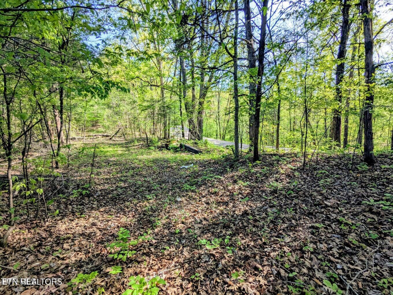 2424 Midway Road Knoxville TN 37914