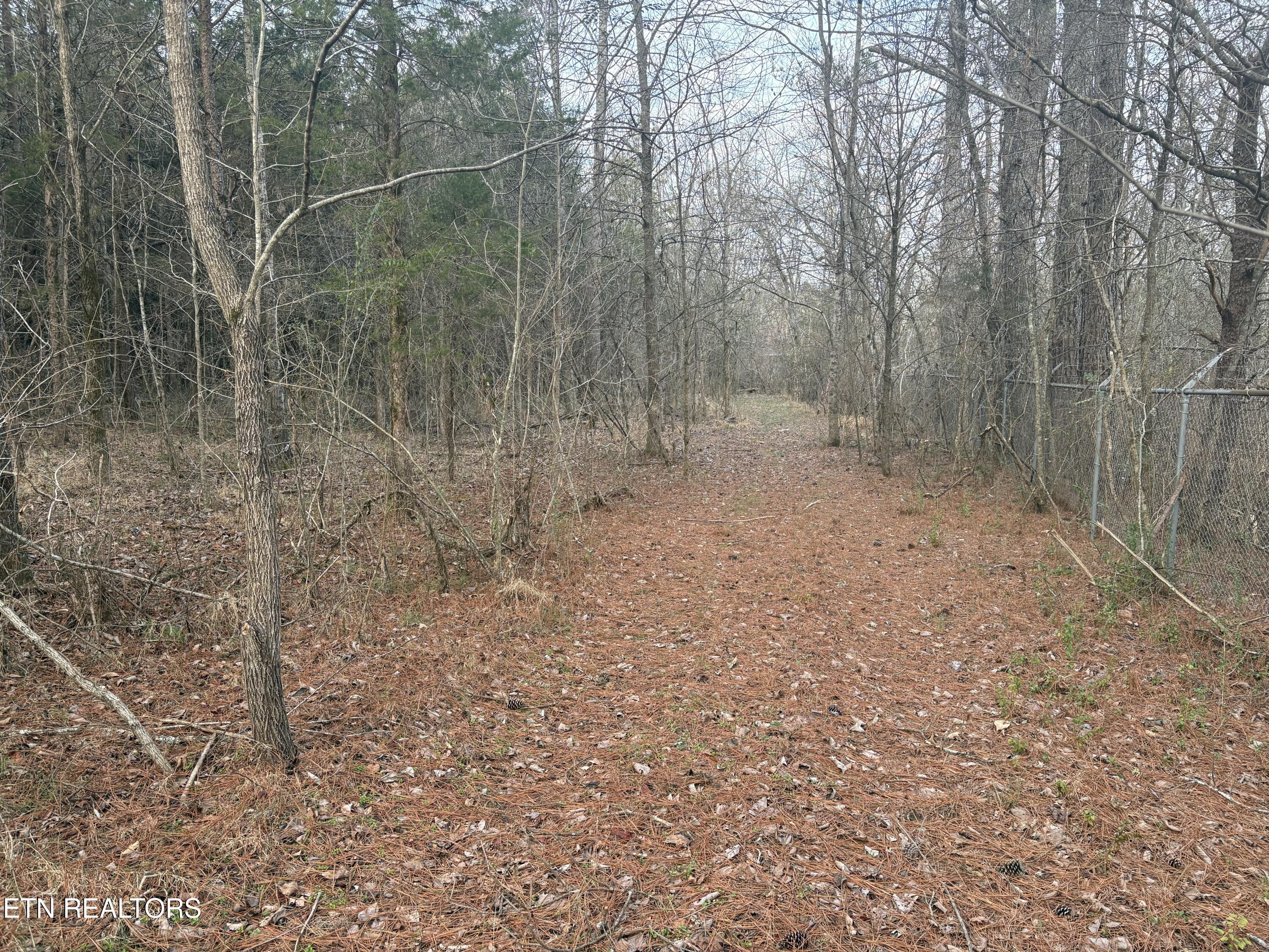W Lamar Alex Parkway Friendsville TN 37737