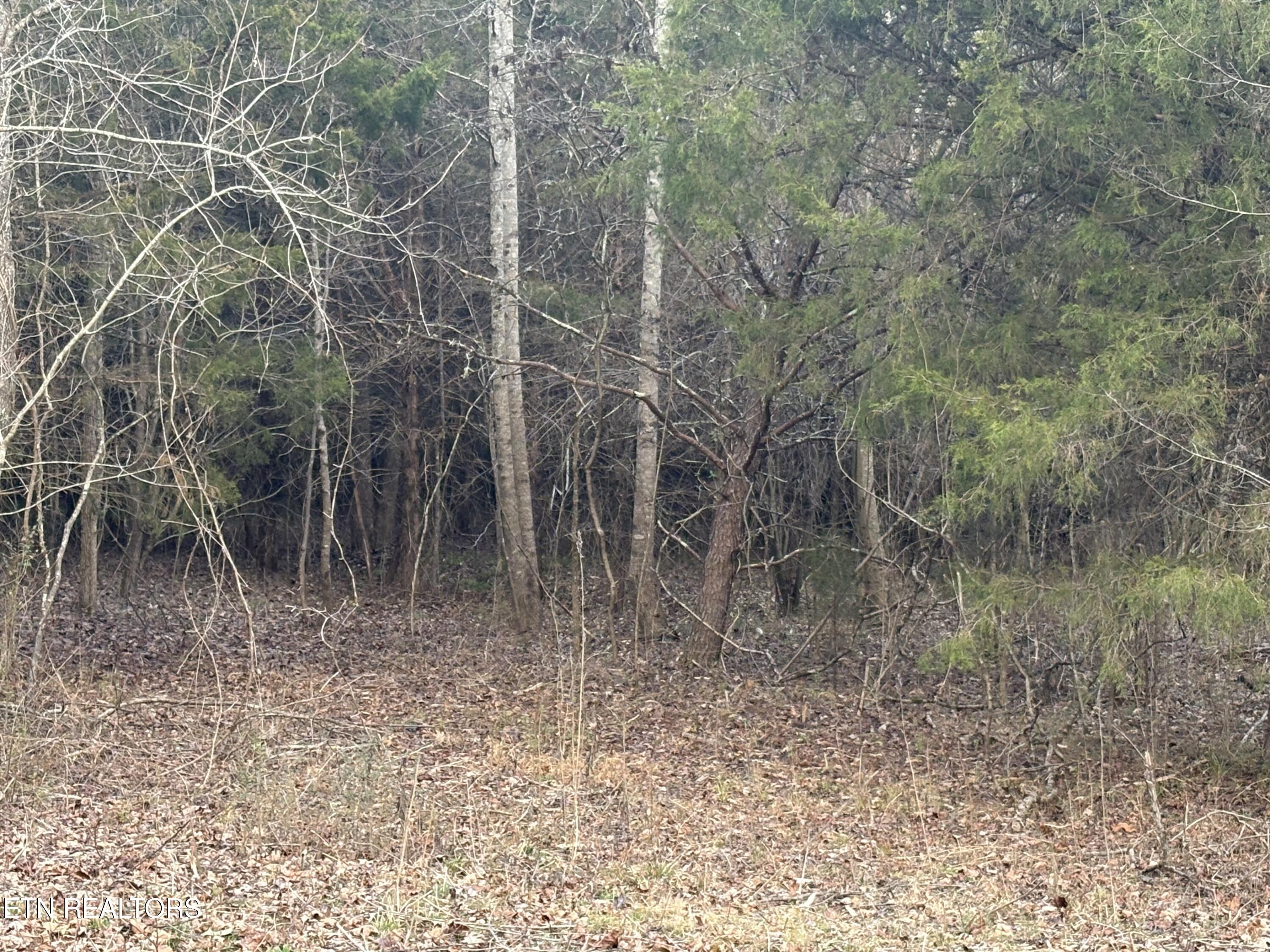 W Lamar Alex Parkway Friendsville TN 37737