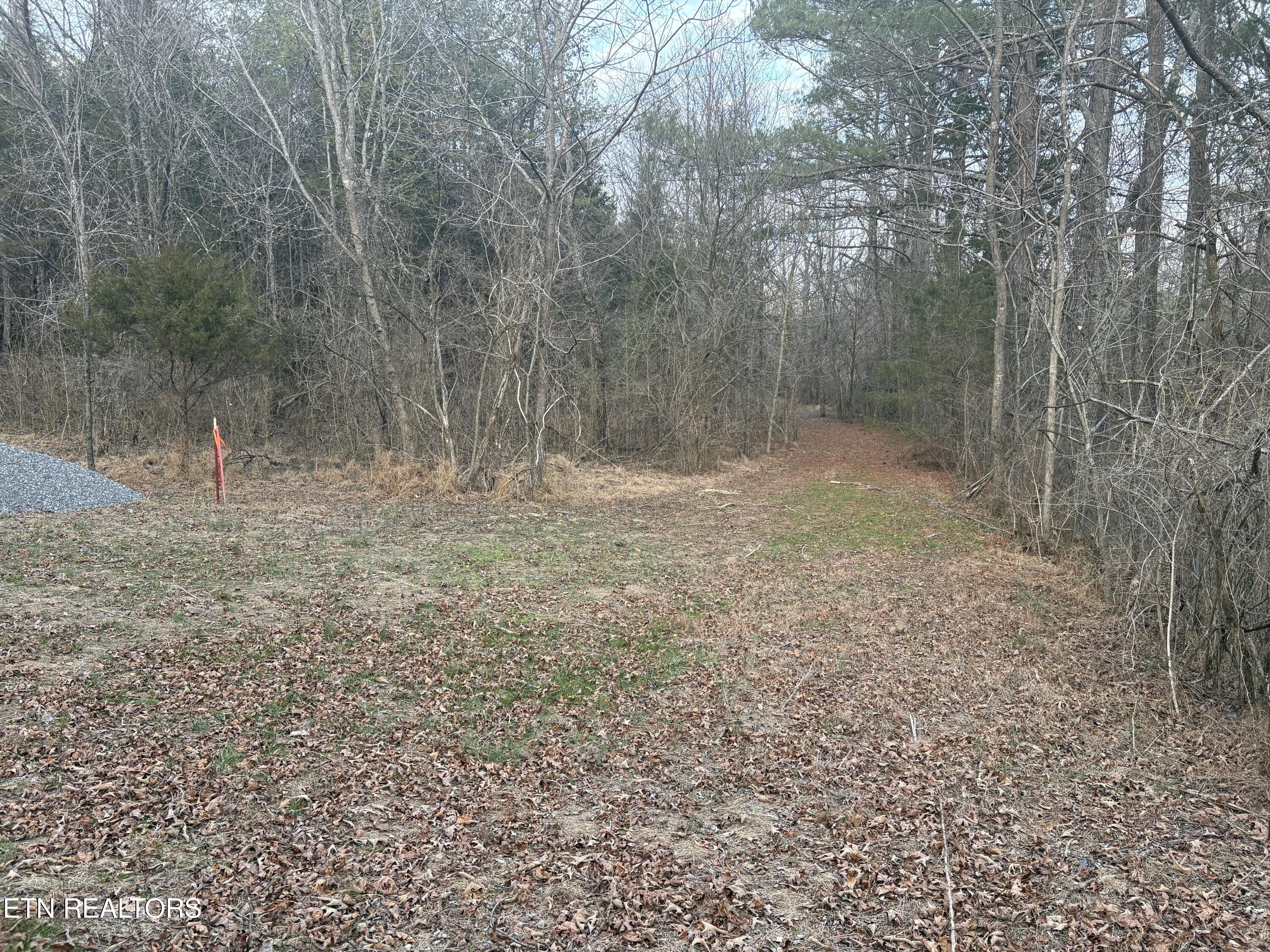 W Lamar Alex Parkway Friendsville TN 37737