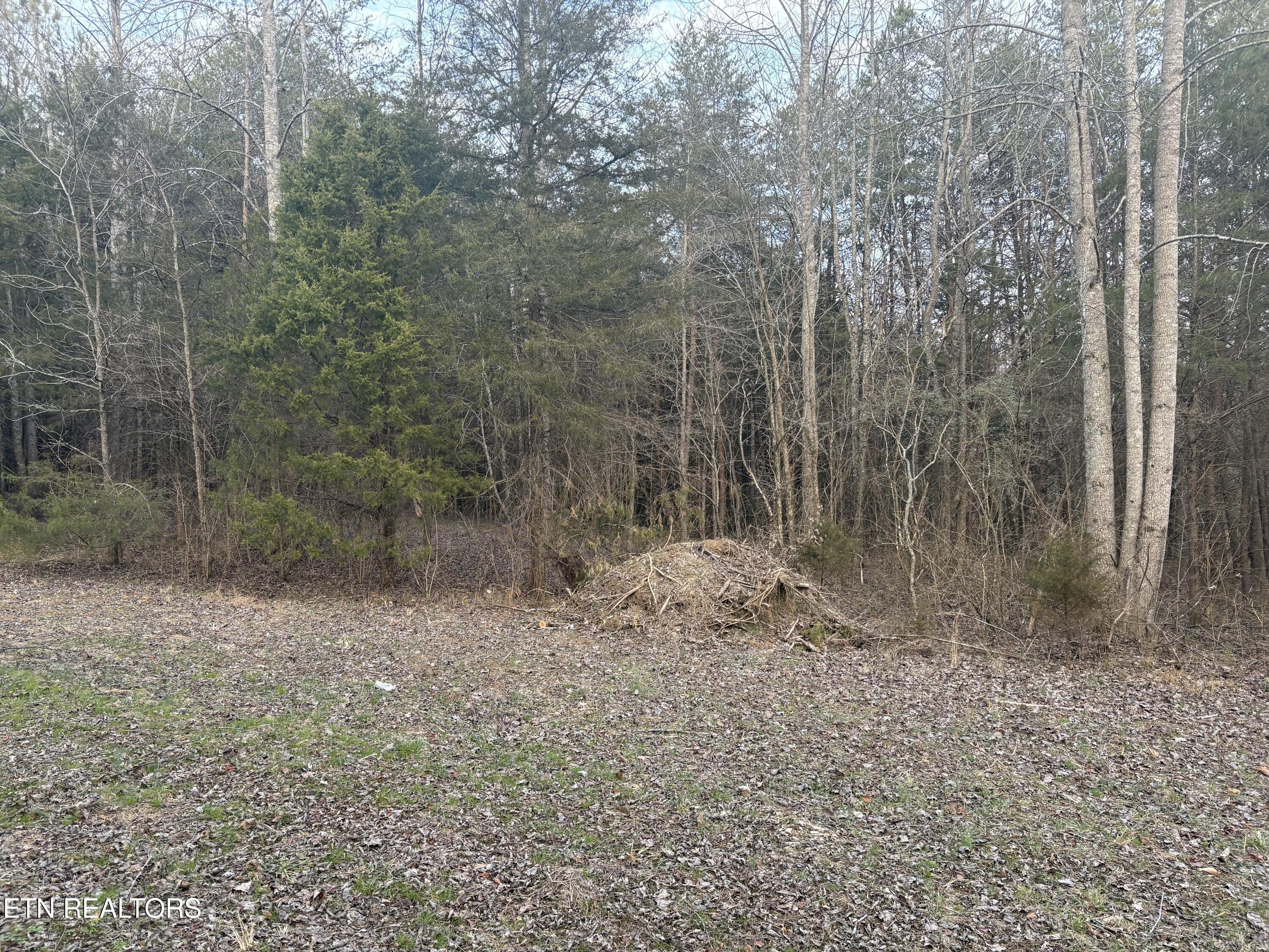 W Lamar Alex Parkway Friendsville TN 37737