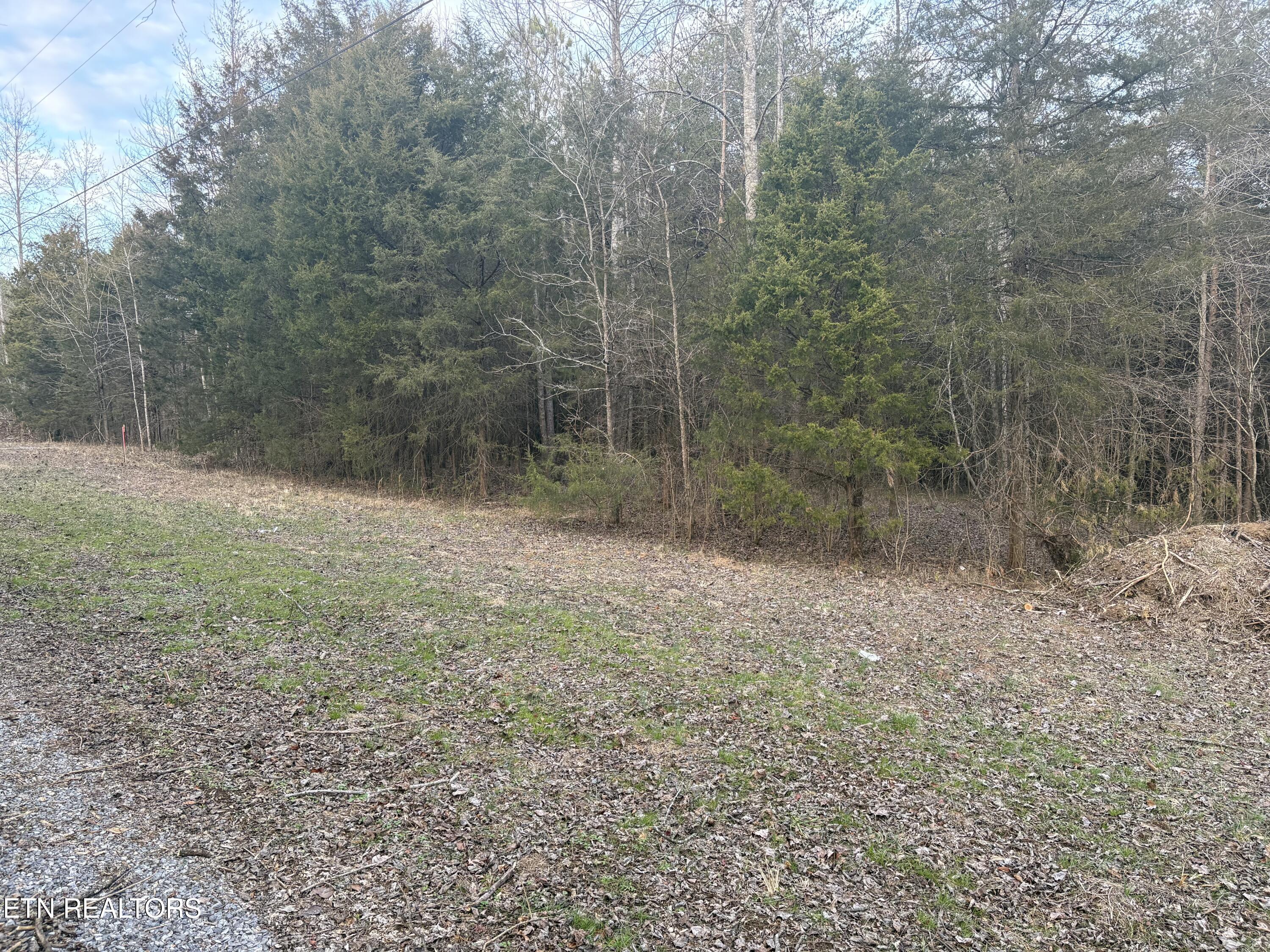 W Lamar Alex Parkway Friendsville TN 37737