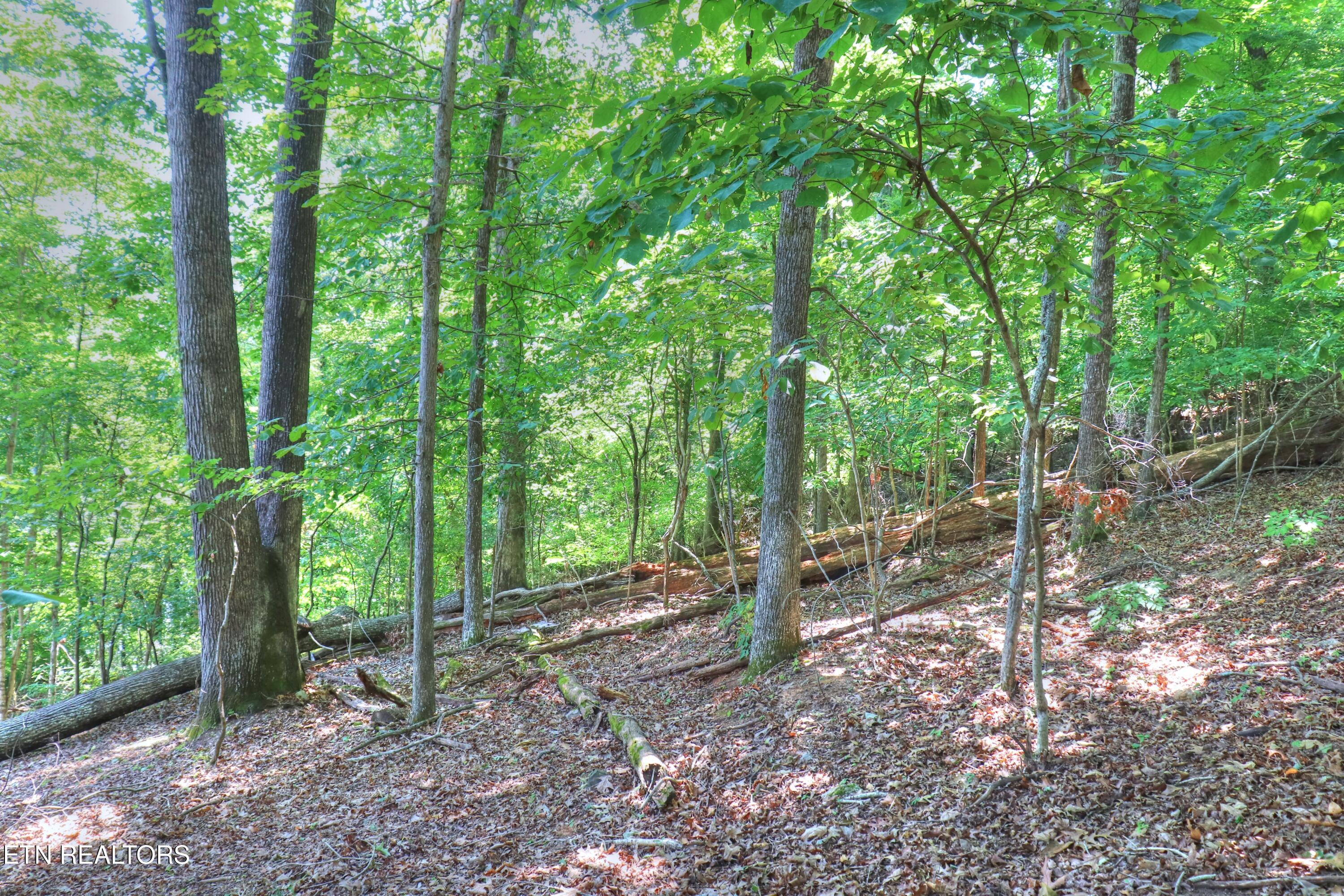 2061 Lakewood Drive Morristown TN 37814