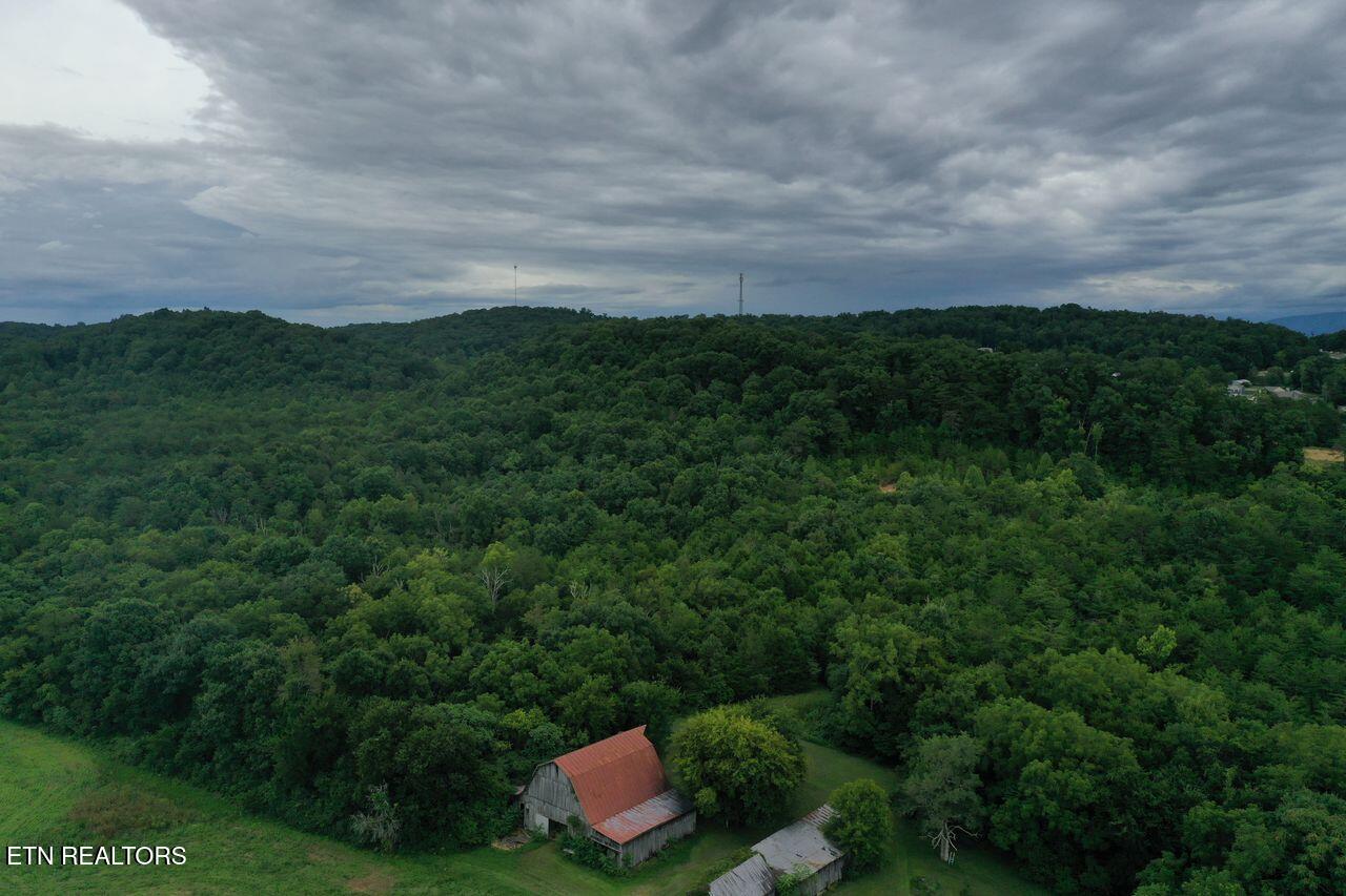 220 Milldale Road Dandridge TN 37725