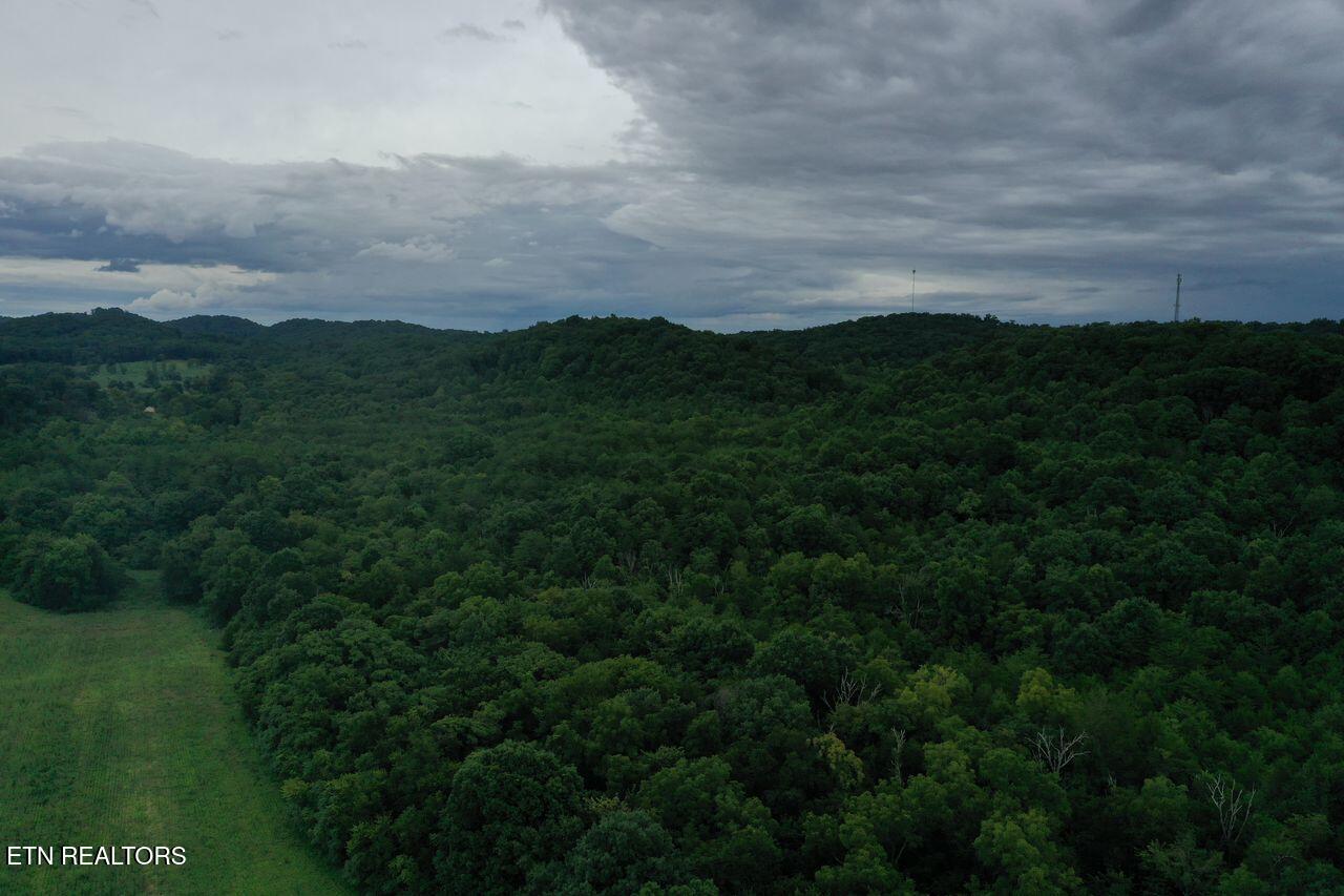 220 Milldale Road Dandridge TN 37725