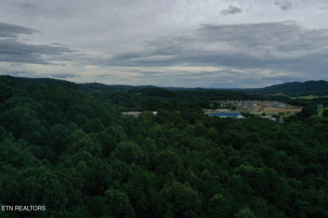 220 Milldale Road Dandridge TN 37725