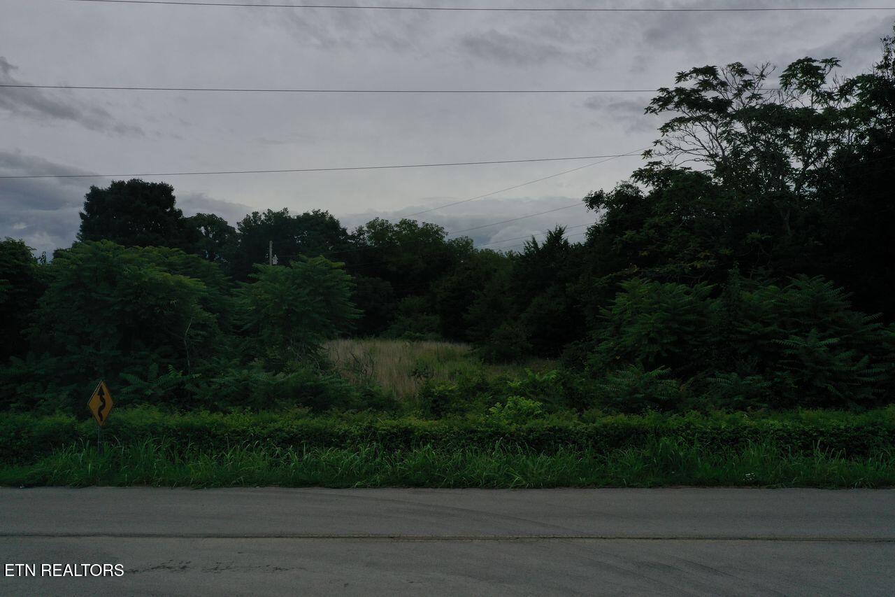 220 Milldale Road Dandridge TN 37725