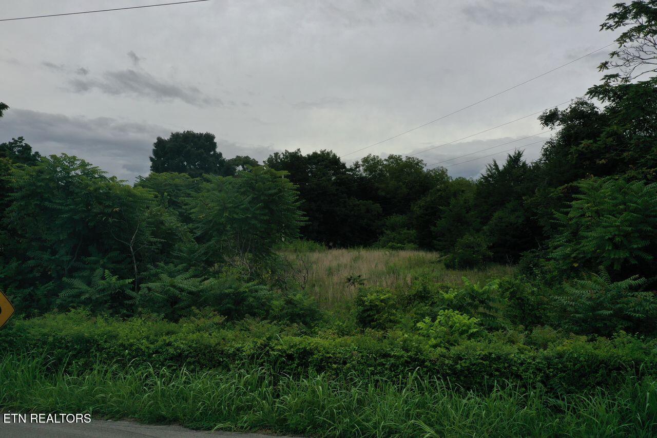 220 Milldale Road Dandridge TN 37725