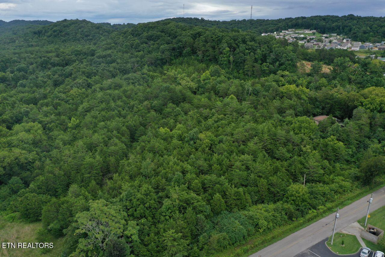 220 Milldale Road Dandridge TN 37725