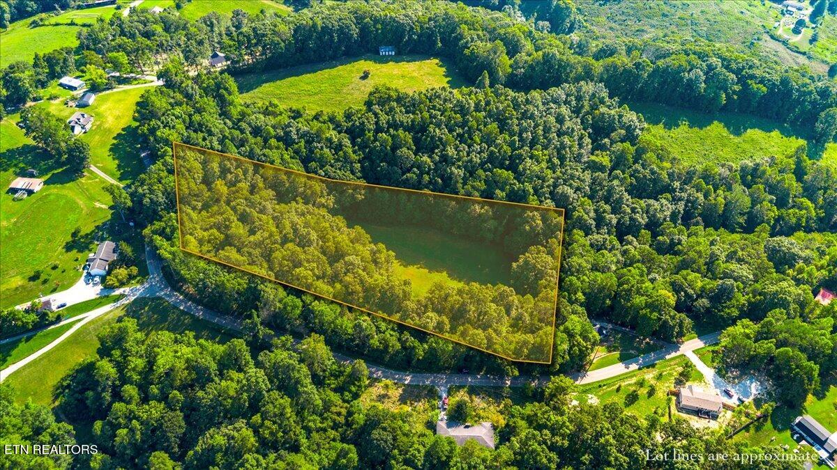 Murrayville Road Lafollette TN 37766