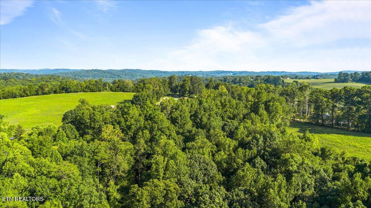 Murrayville Road Lafollette TN 37766