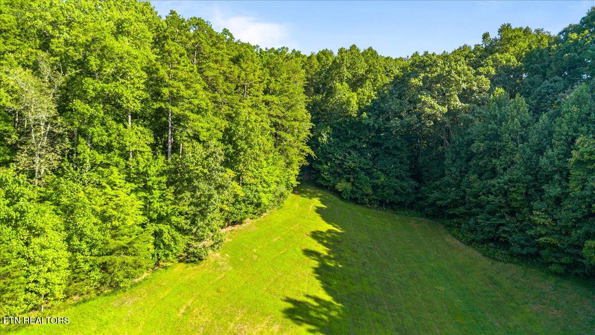 Murrayville Road Lafollette TN 37766