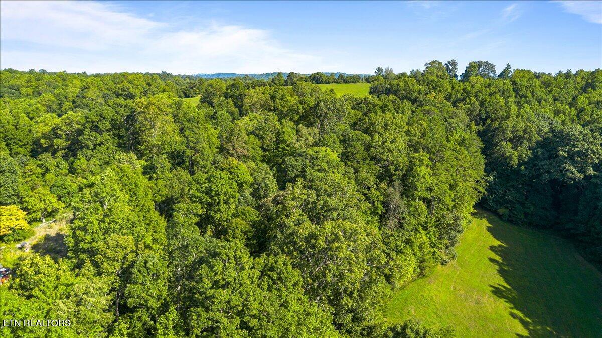 Murrayville Road Lafollette TN 37766