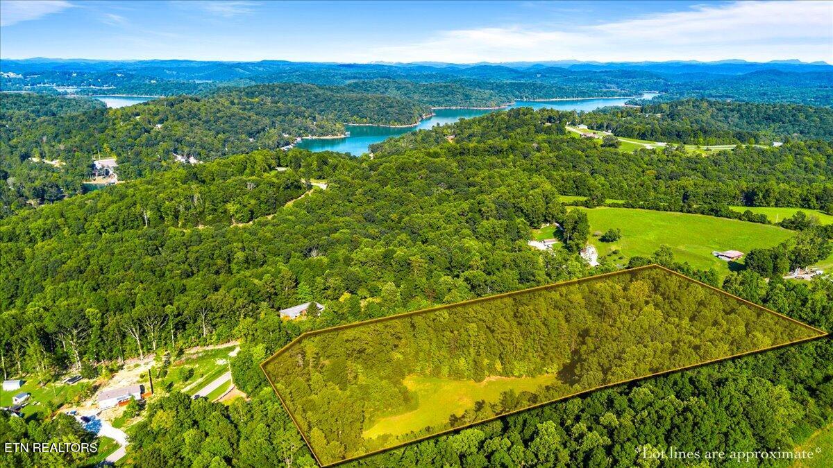 Murrayville Road Lafollette TN 37766