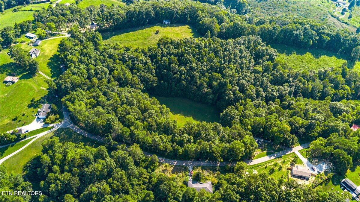 Murrayville Road Lafollette TN 37766