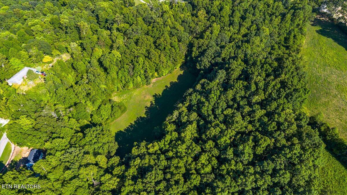 Murrayville Road Lafollette TN 37766