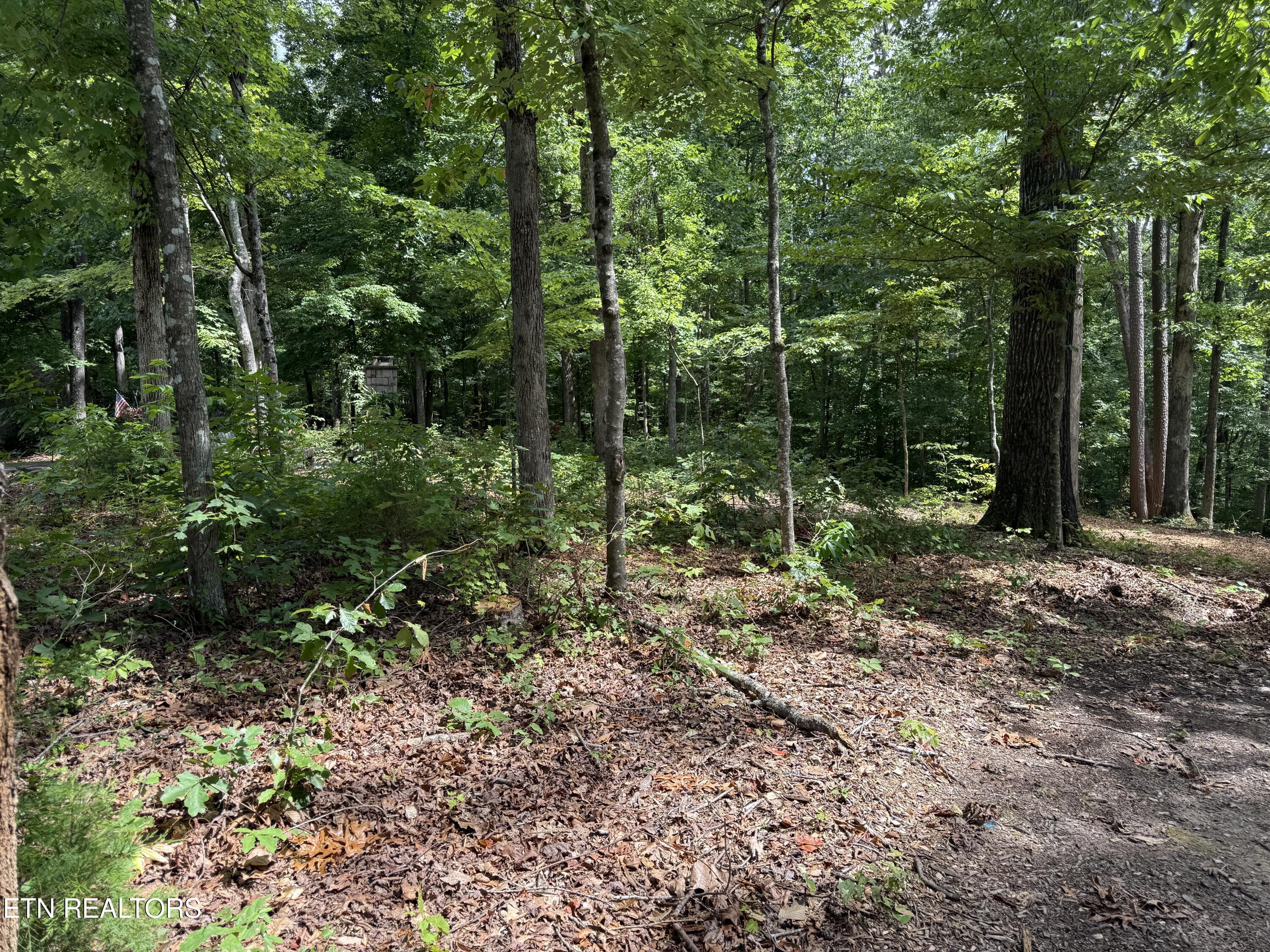 Rocky Top Road Lenoir City TN 37771