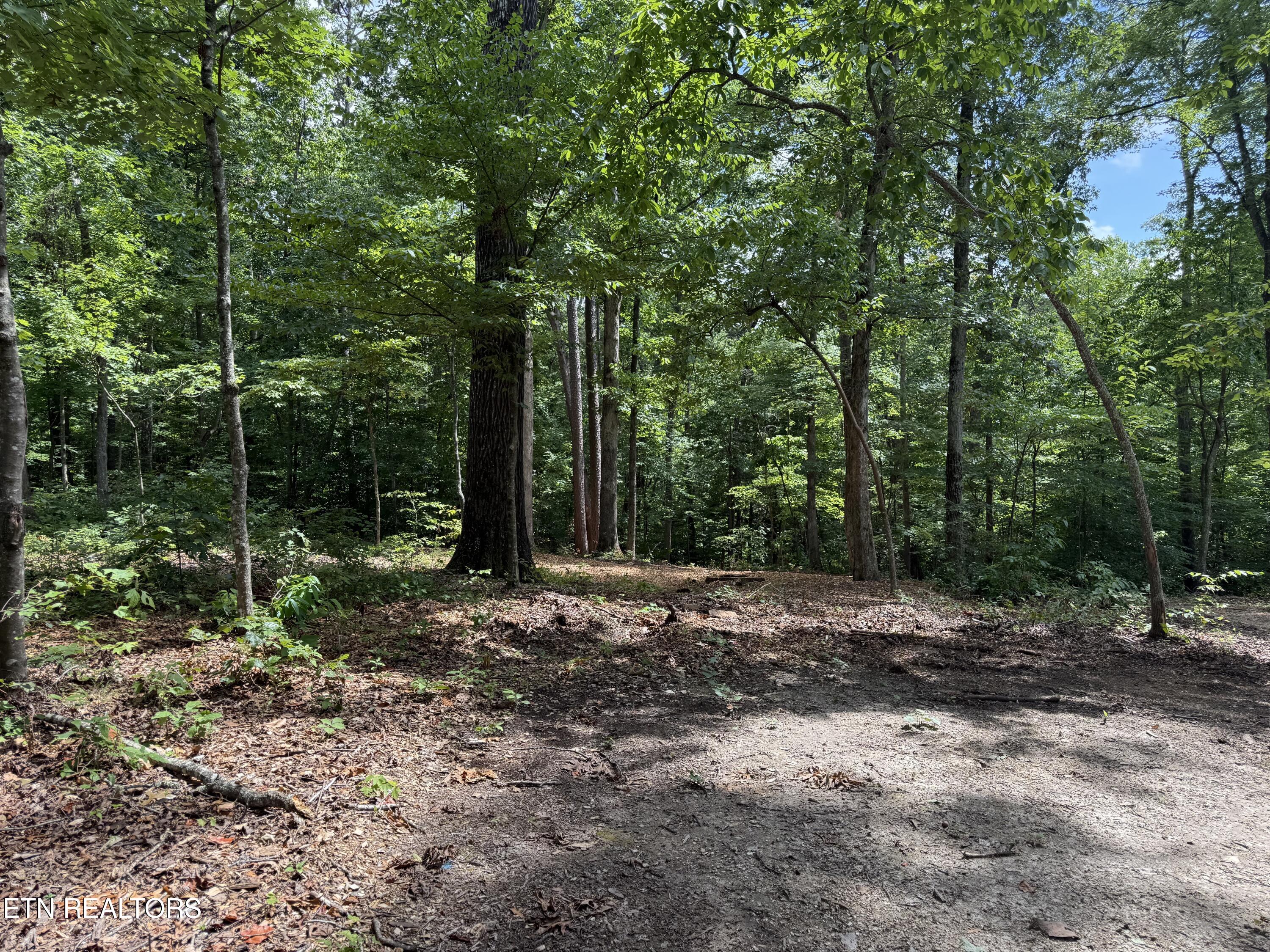 Rocky Top Road Lenoir City TN 37771