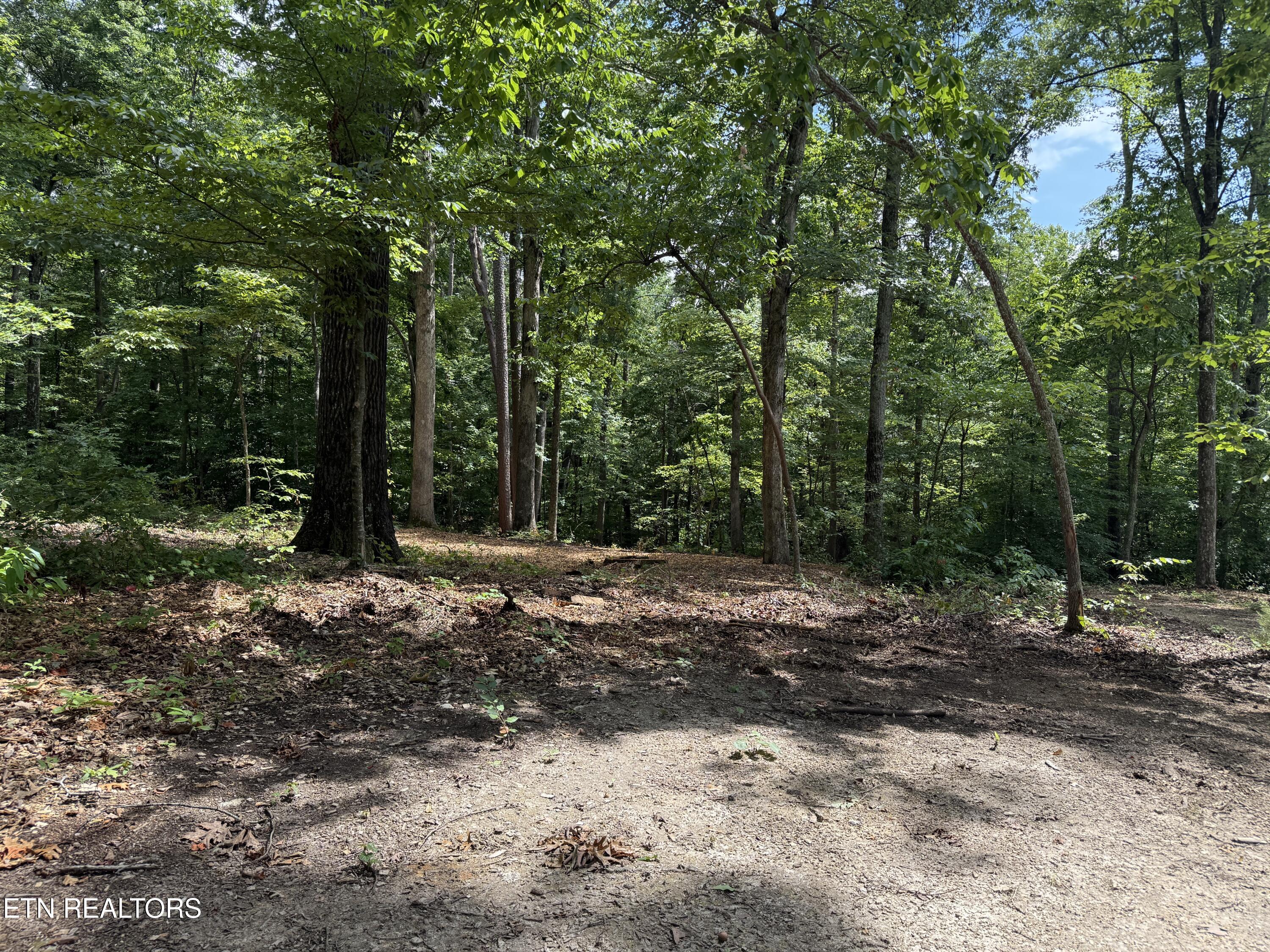 Rocky Top Road Lenoir City TN 37771