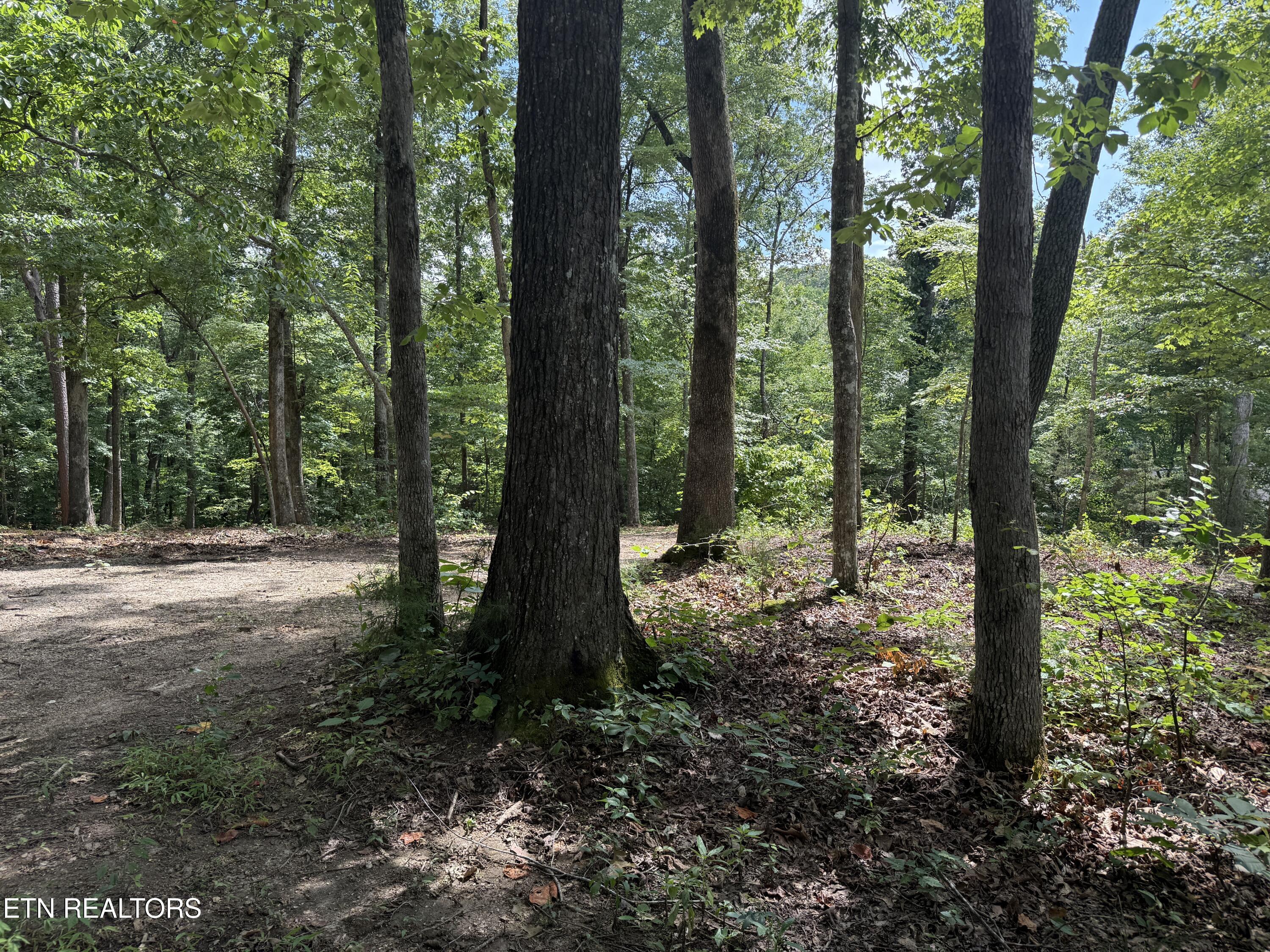 Rocky Top Road Lenoir City TN 37771