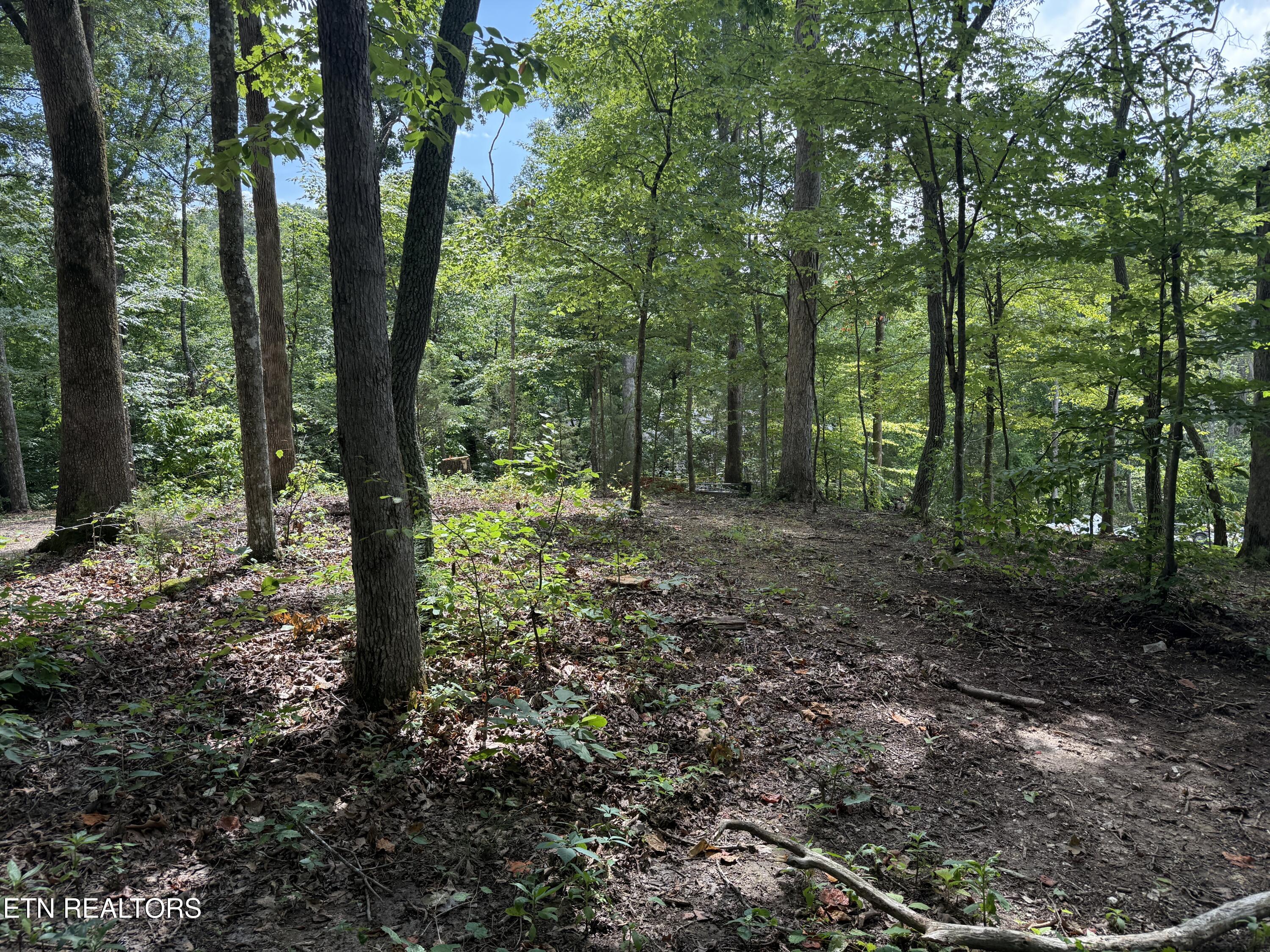 Rocky Top Road Lenoir City TN 37771