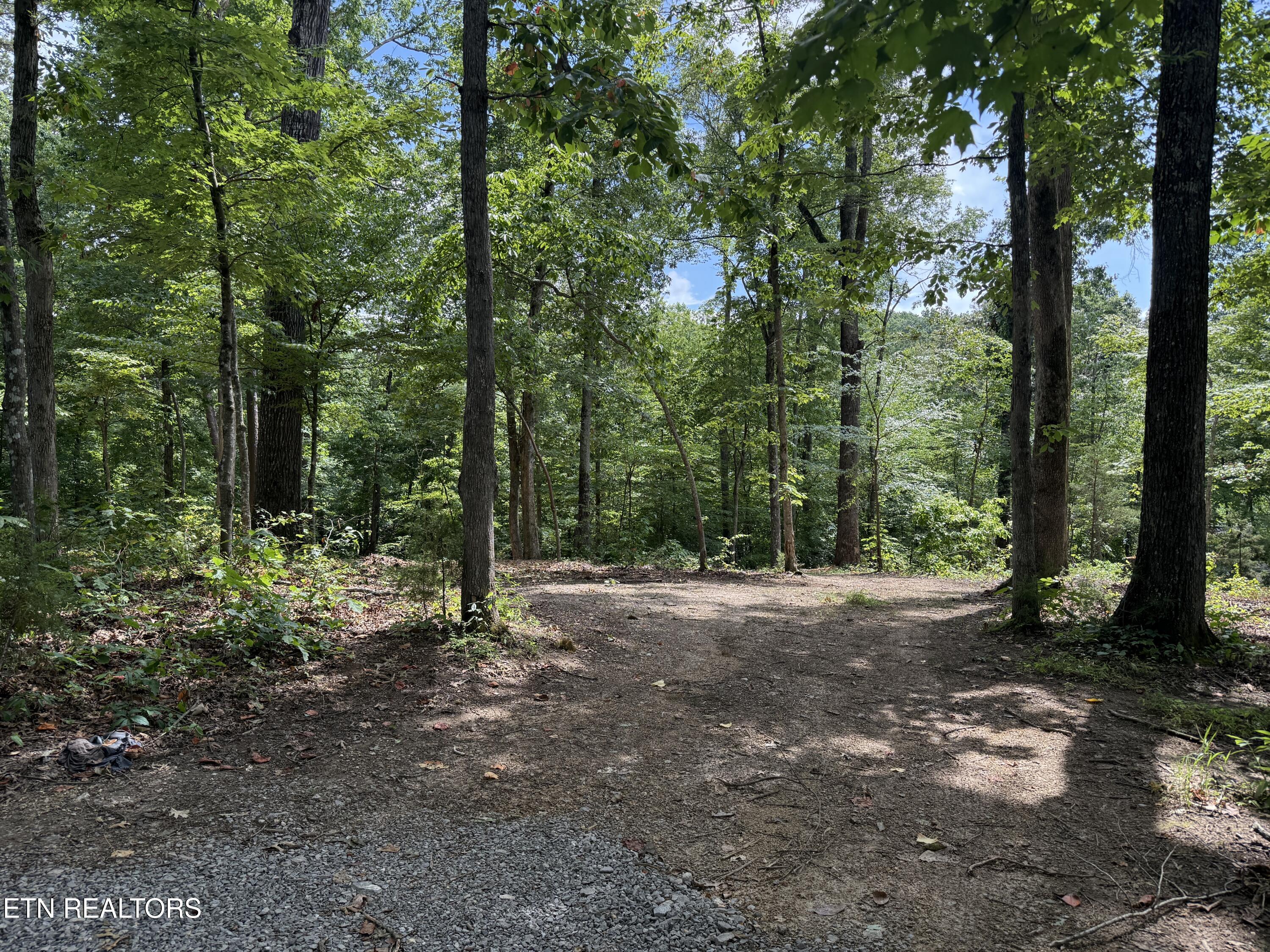 Rocky Top Road Lenoir City TN 37771