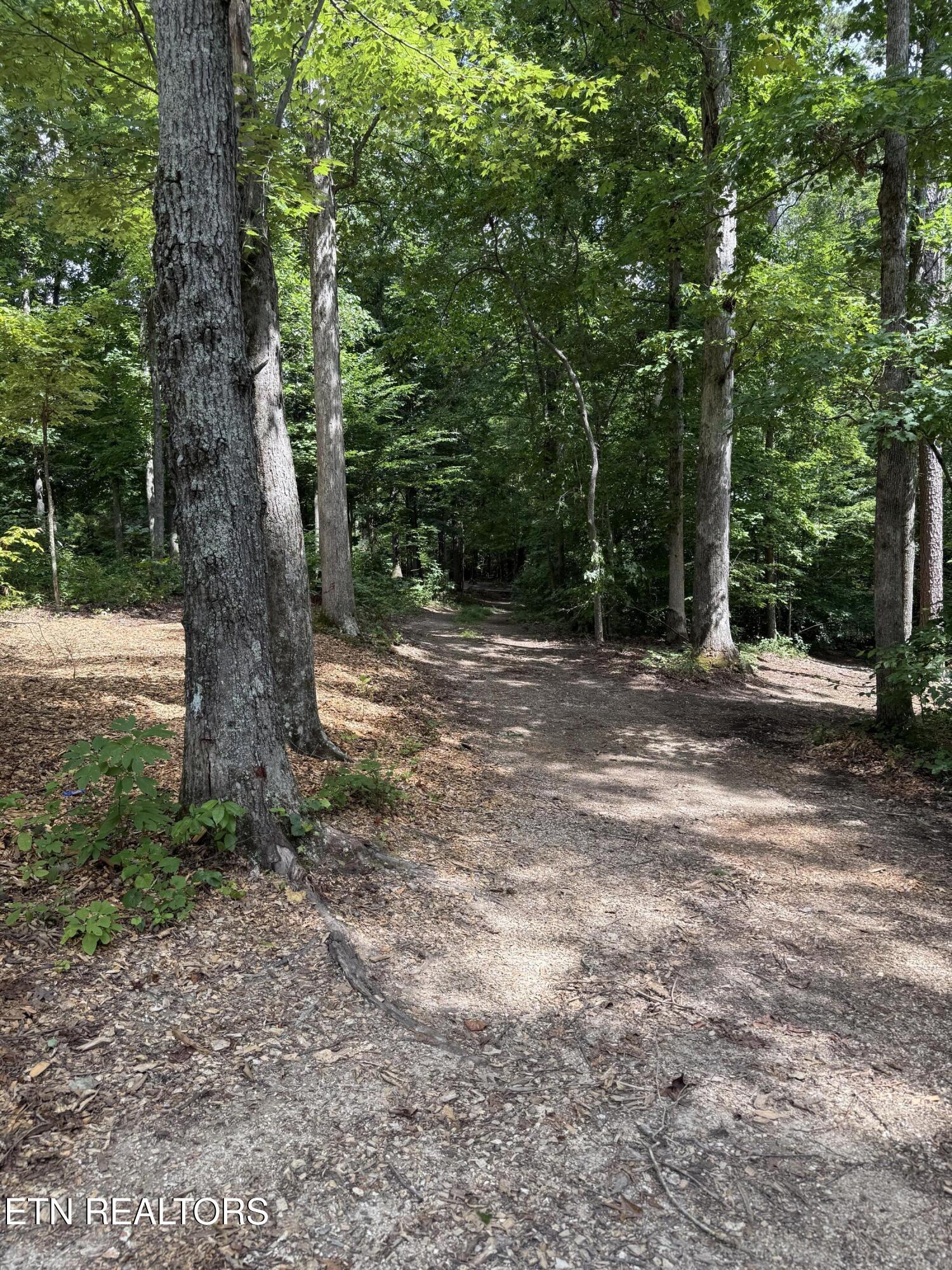 Rocky Top Road Lenoir City TN 37771