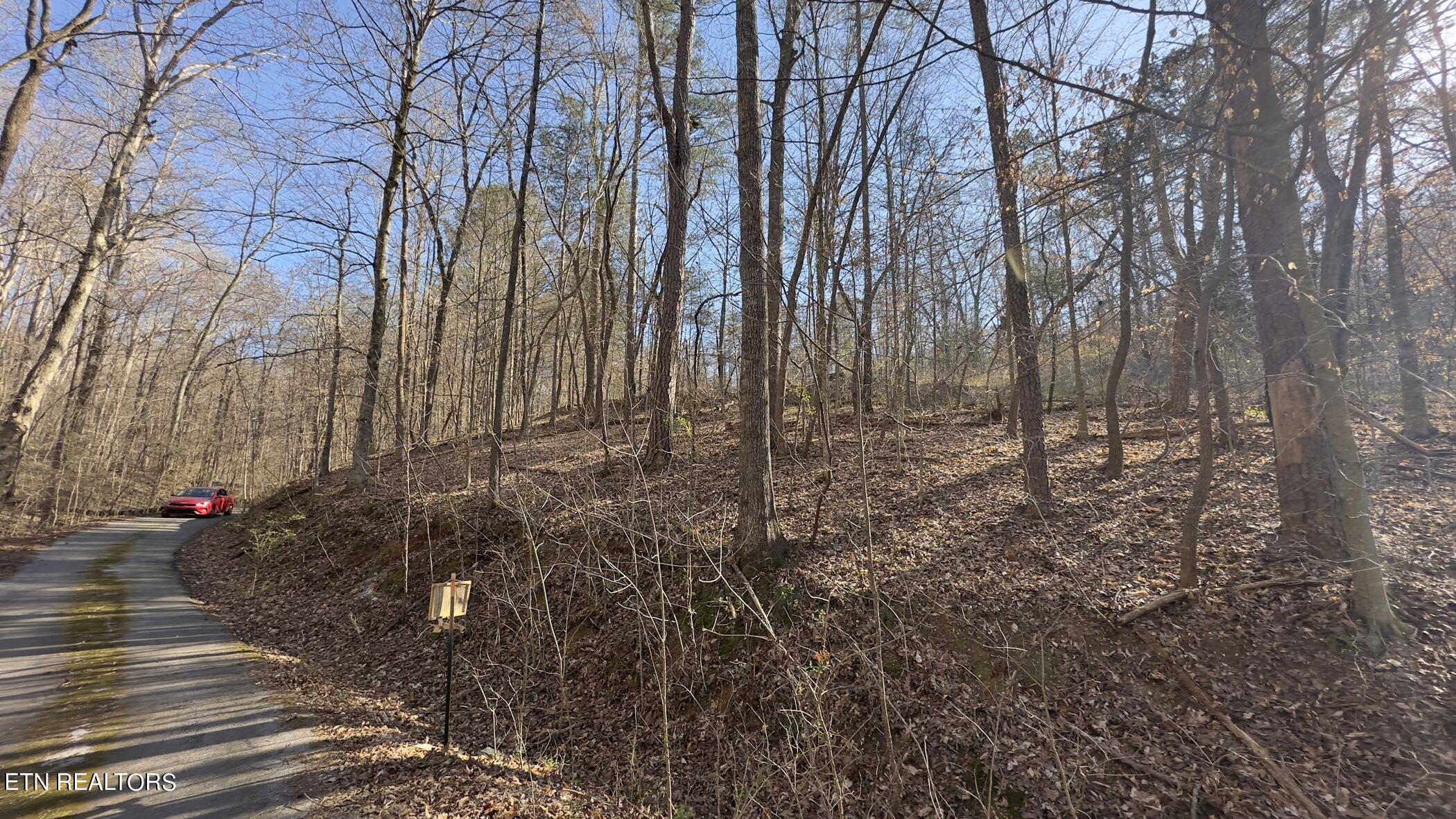 Rocky Top Road Lenoir City TN 37771