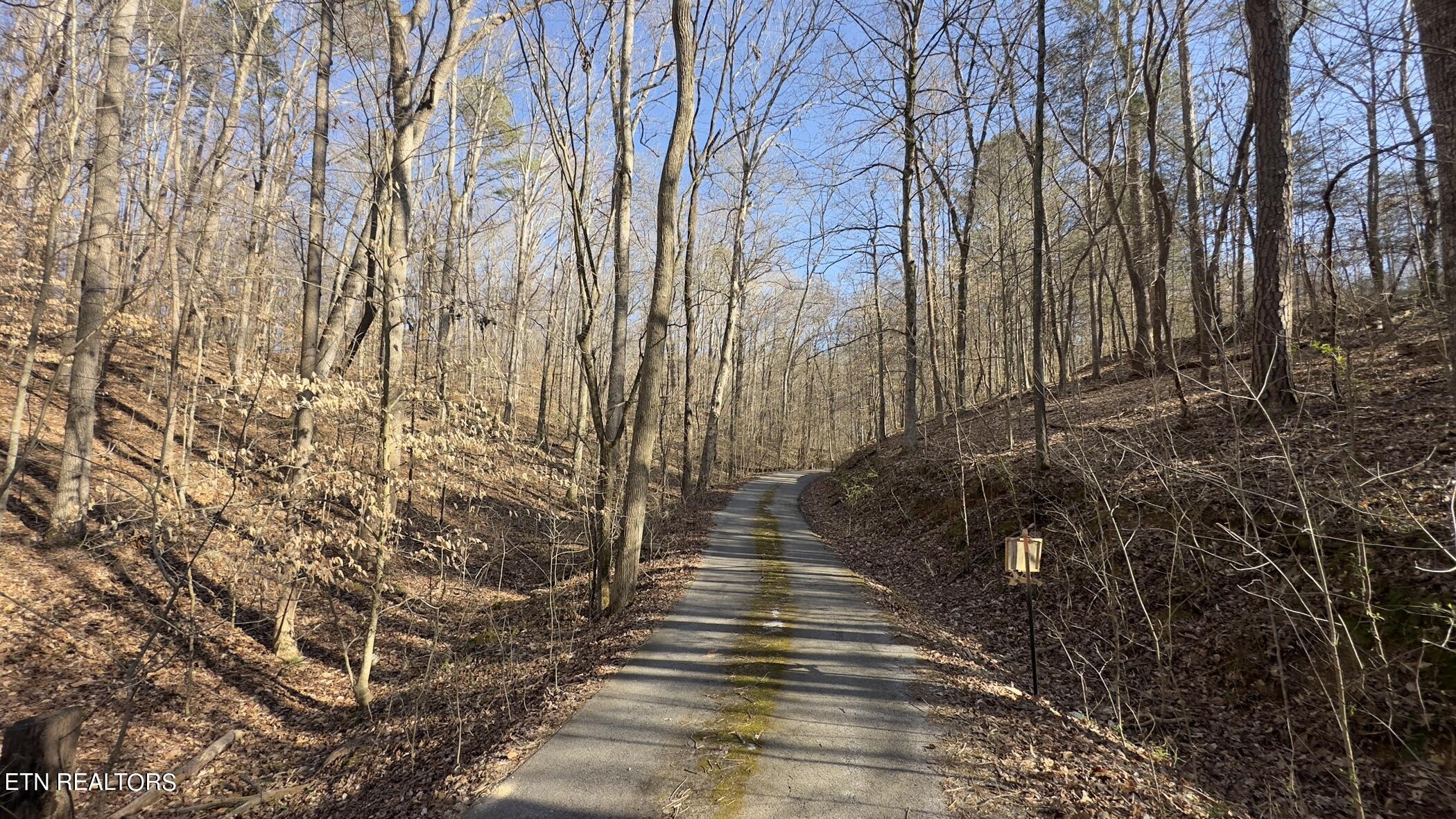 Rocky Top Road Lenoir City TN 37771