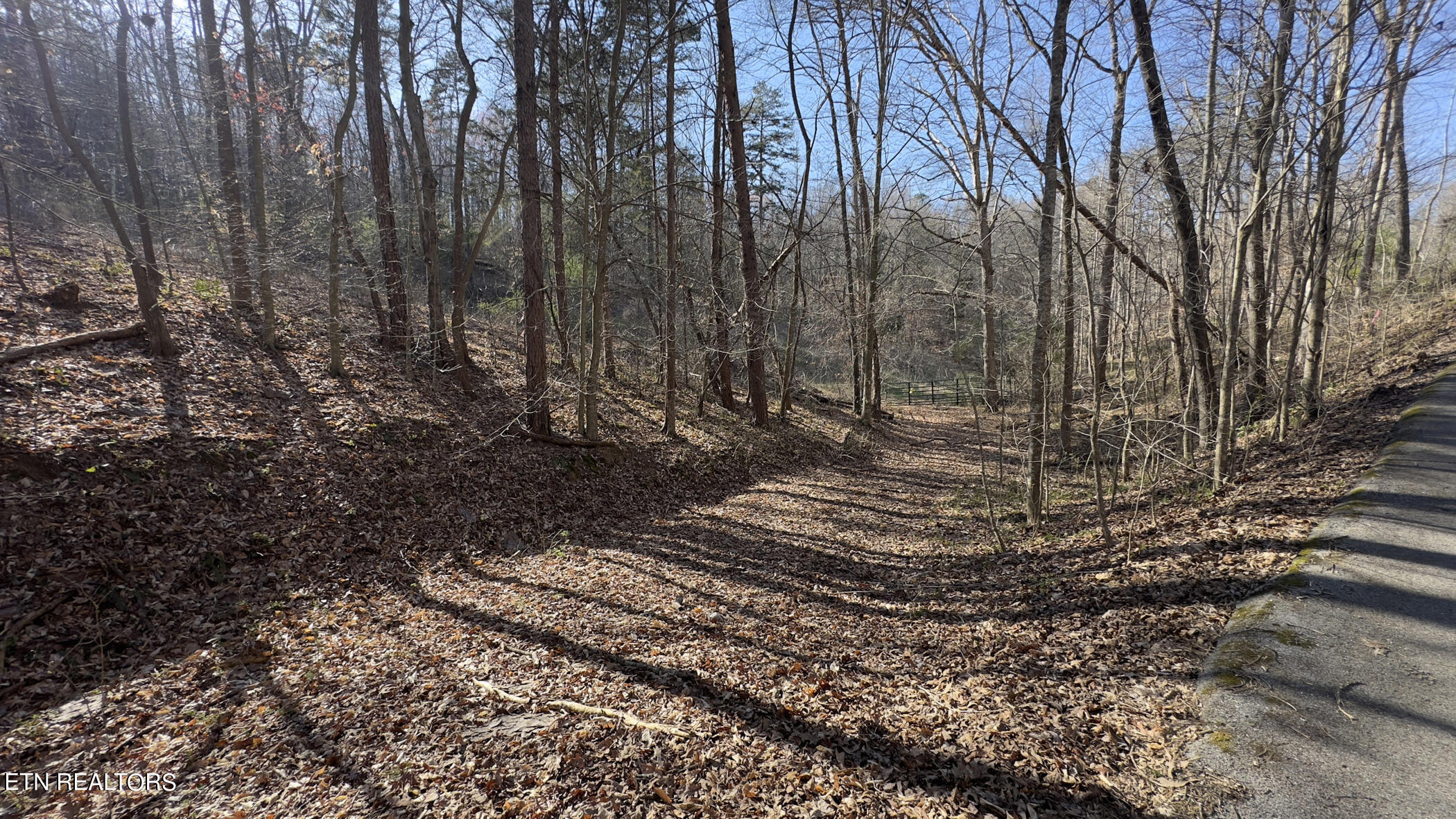 Rocky Top Road Lenoir City TN 37771