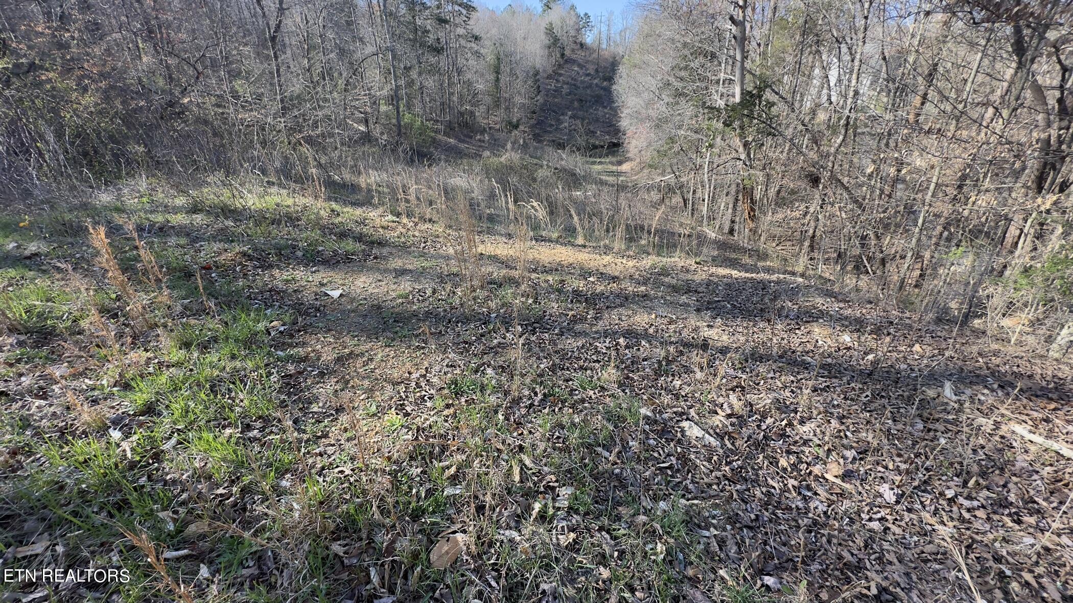 Rocky Top Road Lenoir City TN 37771