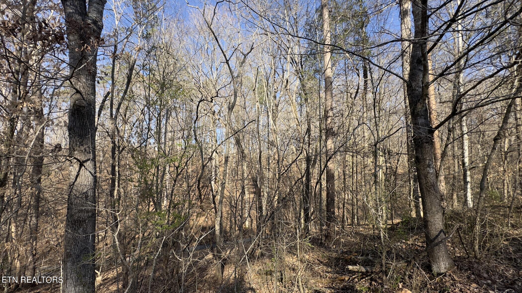 Rocky Top Road Lenoir City TN 37771