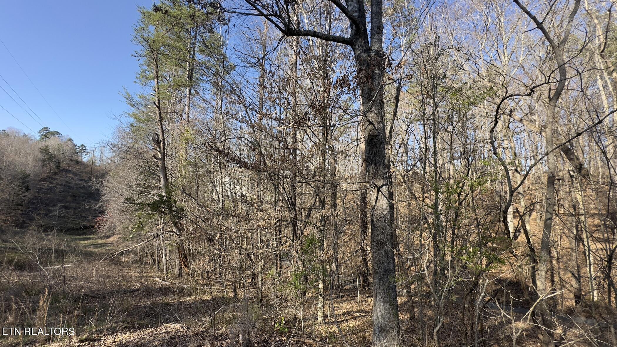 Rocky Top Road Lenoir City TN 37771