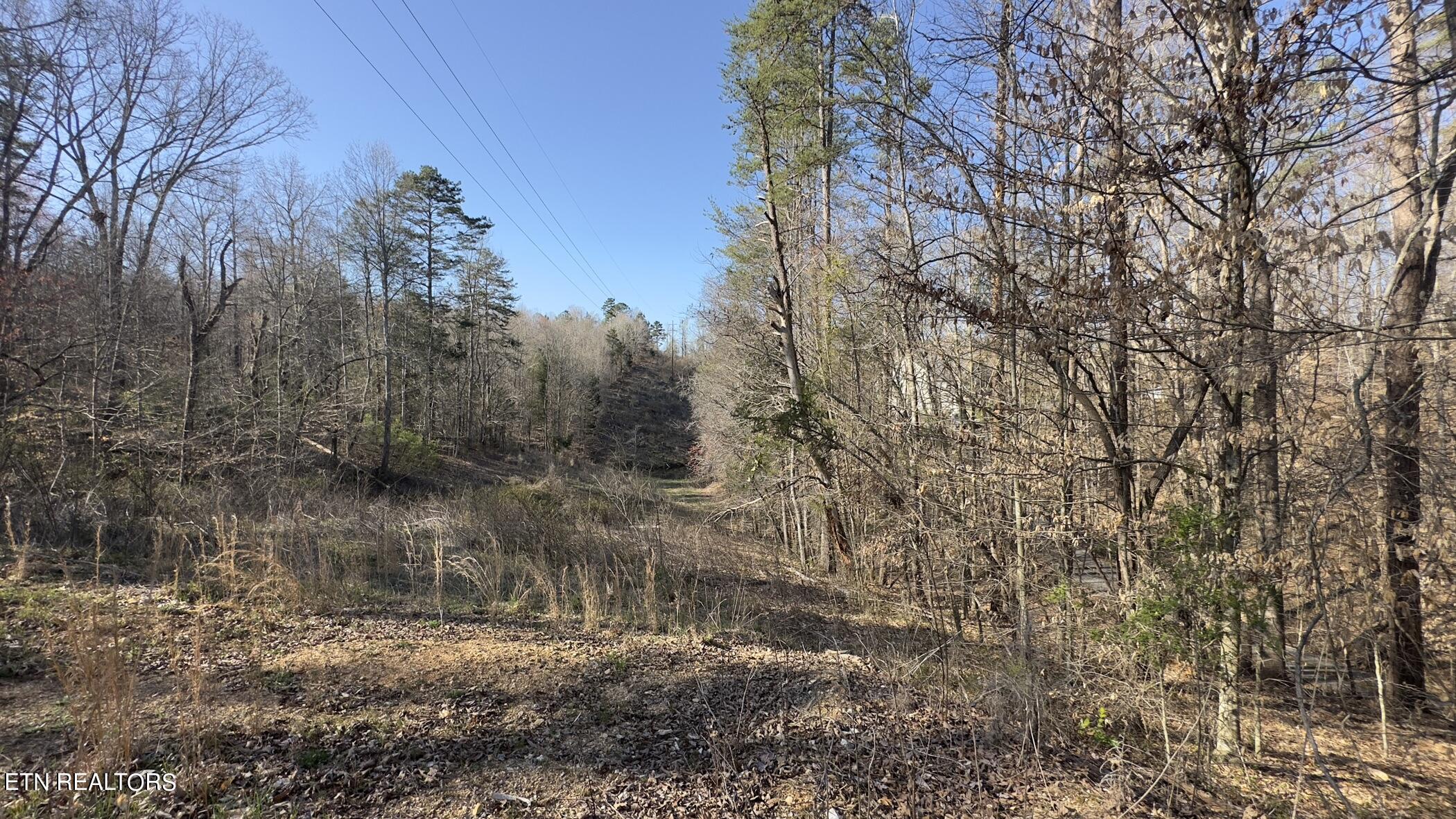 Rocky Top Road Lenoir City TN 37771