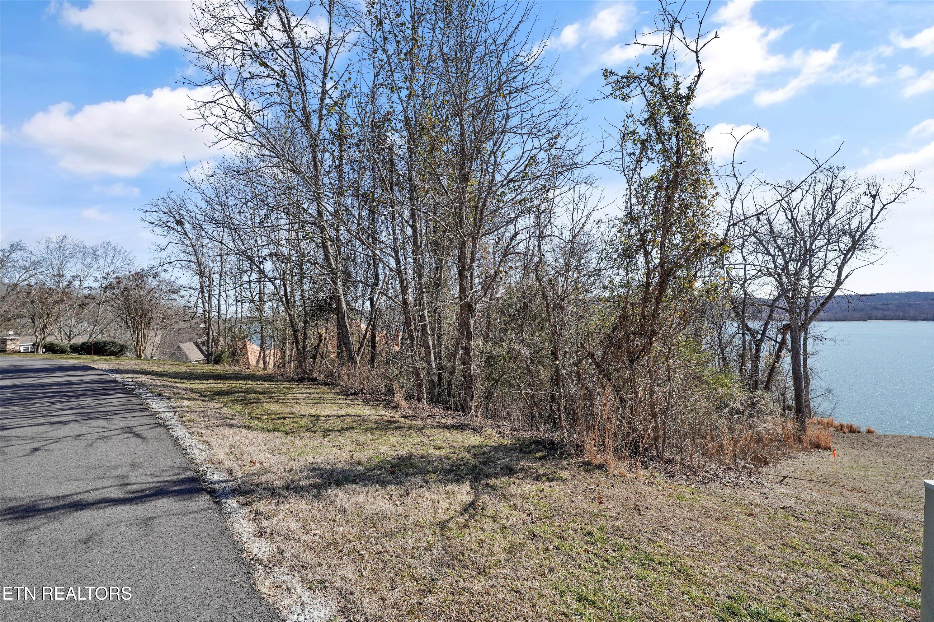 Lot 170 E Shore Drive Rockwood TN 37854