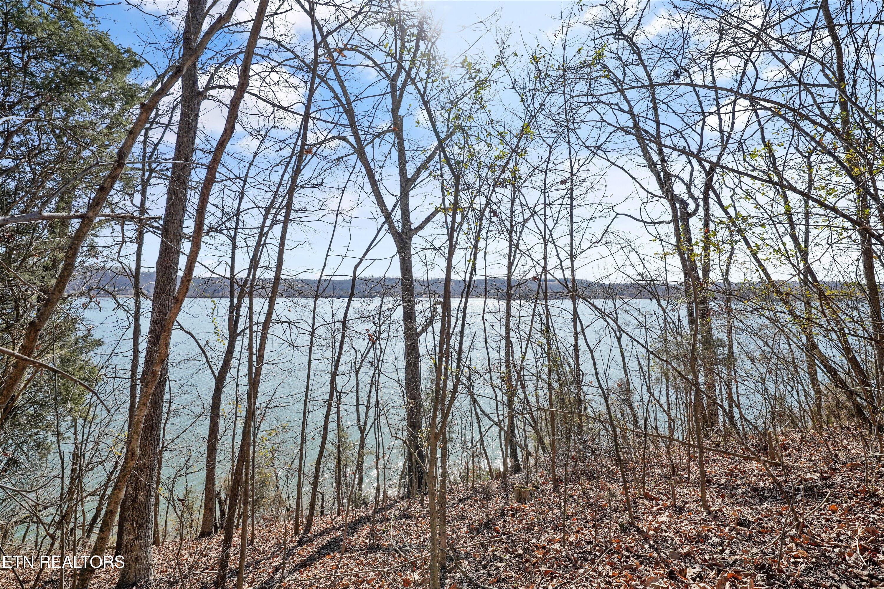 Lot 170 E Shore Drive Rockwood TN 37854