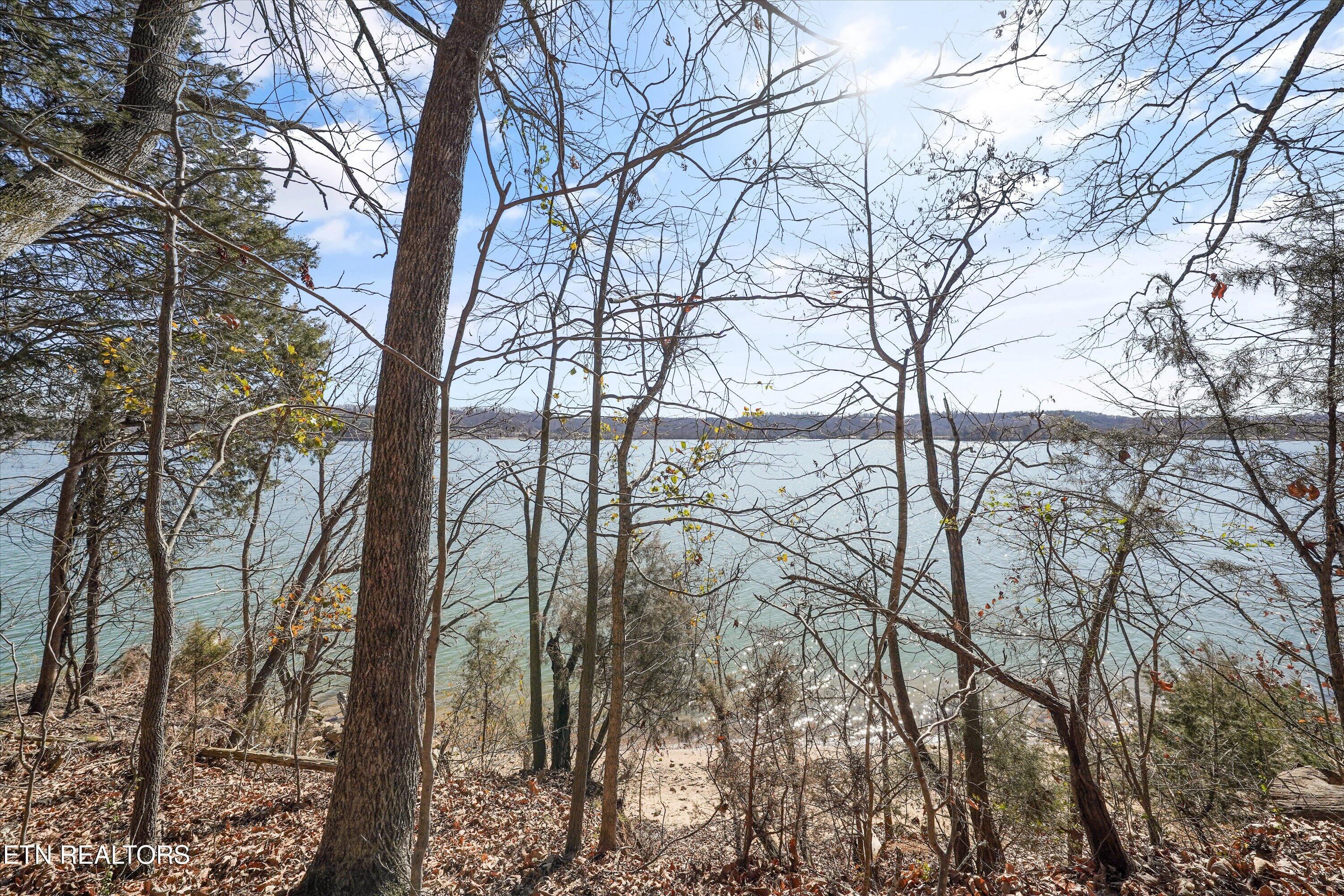 Lot 170 E Shore Drive Rockwood TN 37854
