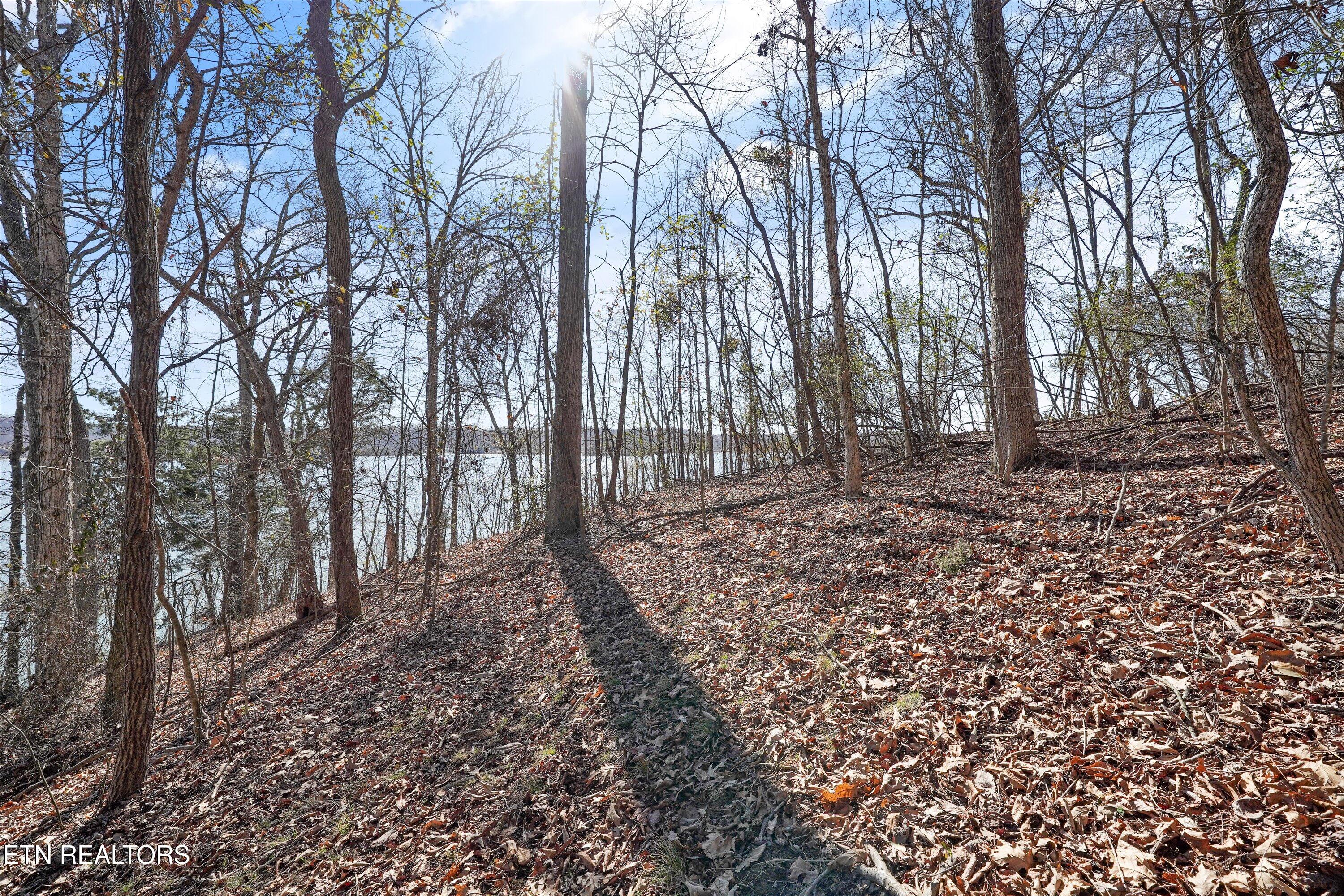 Lot 170 E Shore Drive Rockwood TN 37854
