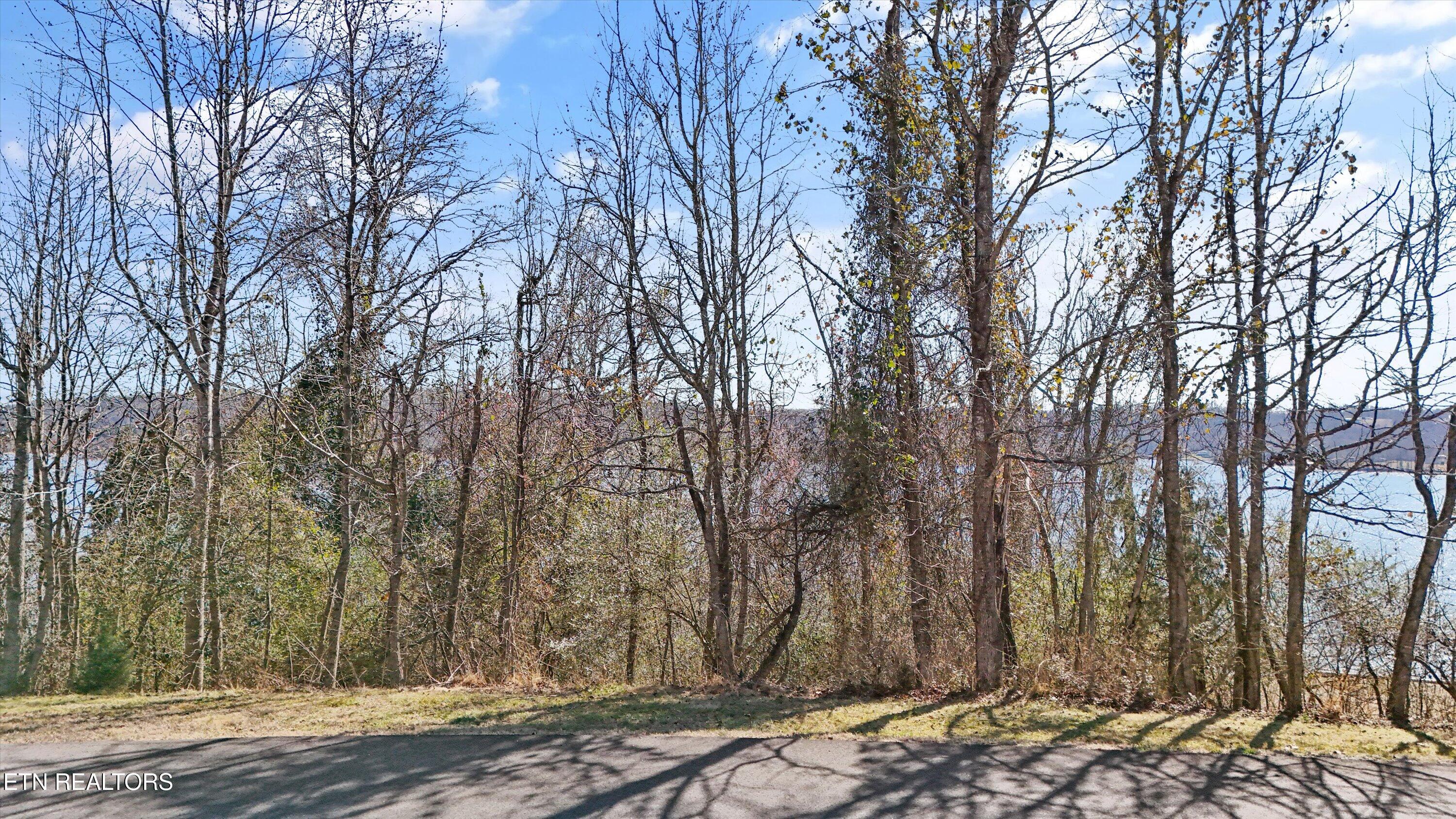Lot 170 E Shore Drive Rockwood TN 37854