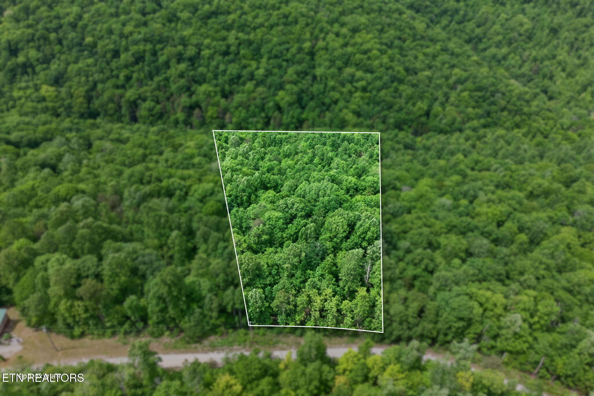 W Bobcat Lane Wilder TN 38589