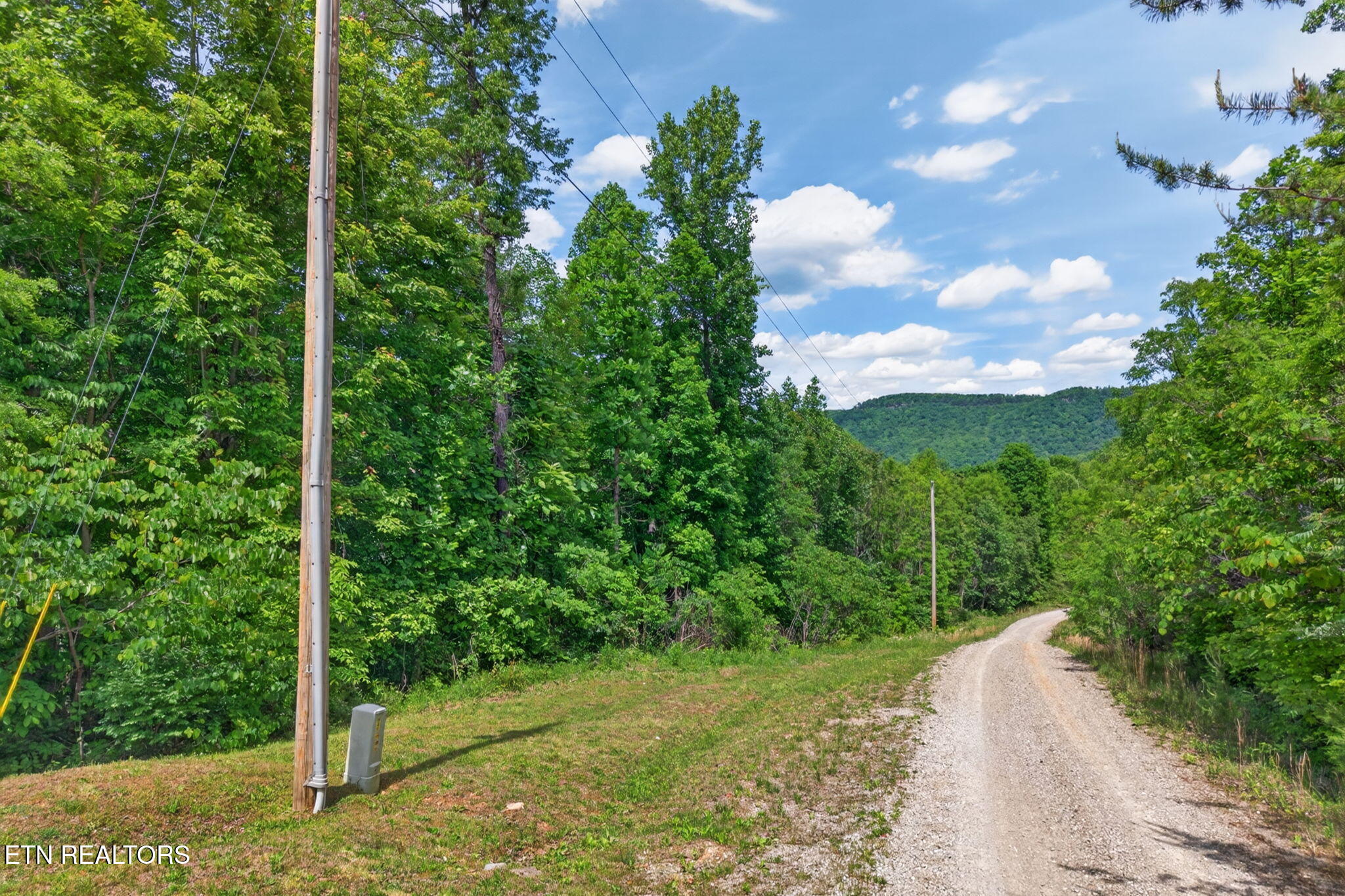 W Bobcat Lane Wilder TN 38589