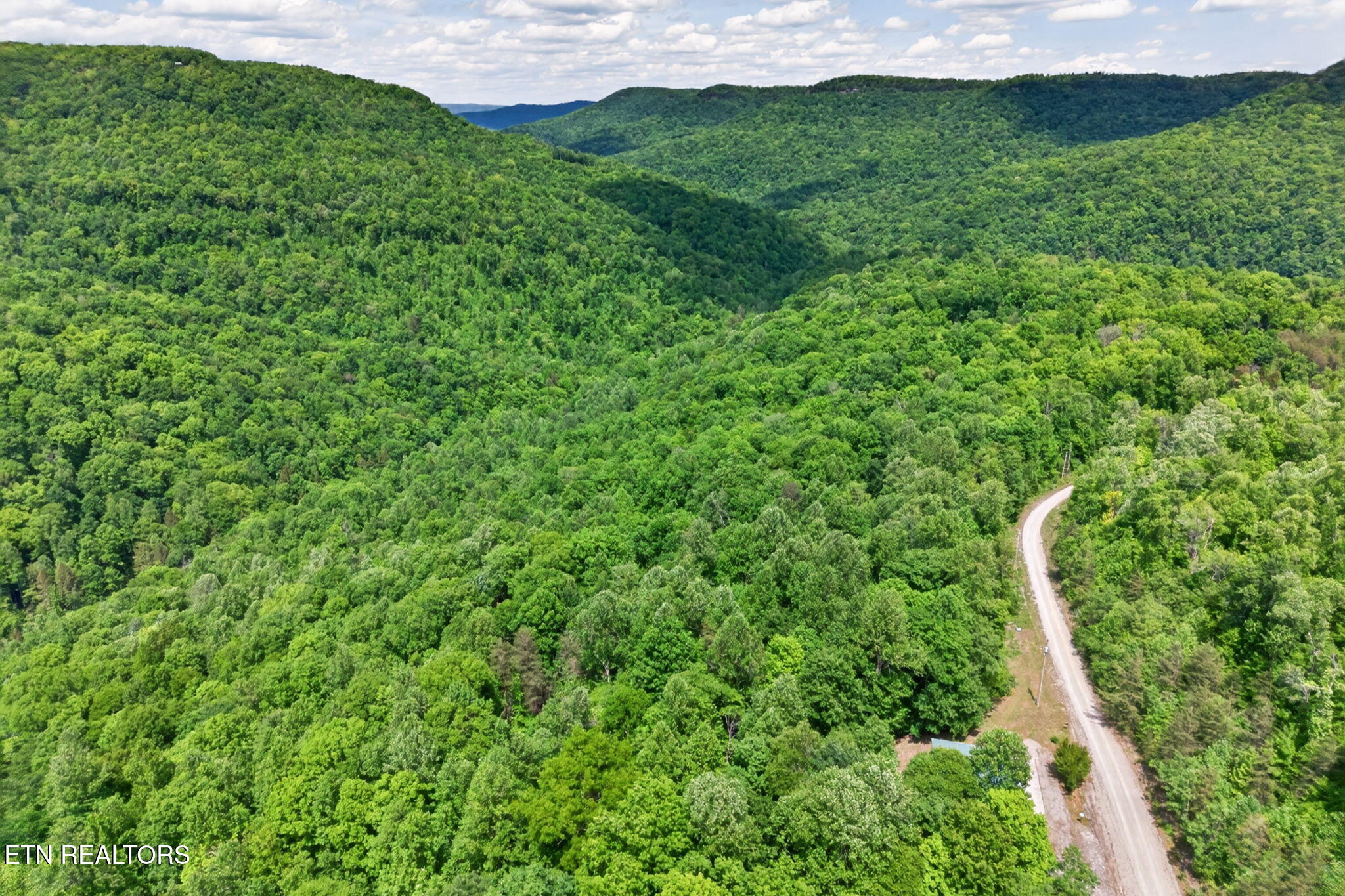 W Bobcat Lane Wilder TN 38589