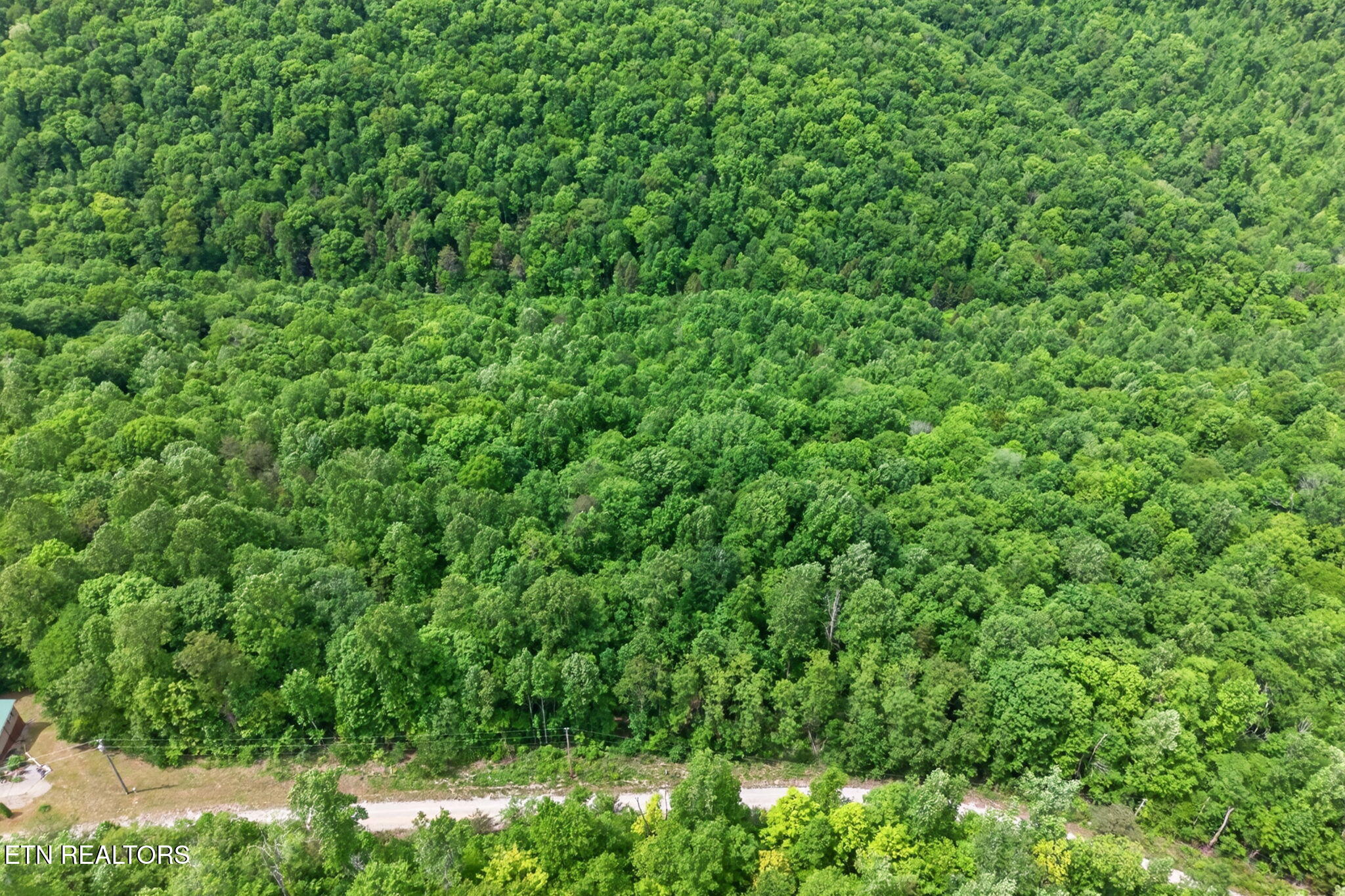 W Bobcat Lane Wilder TN 38589