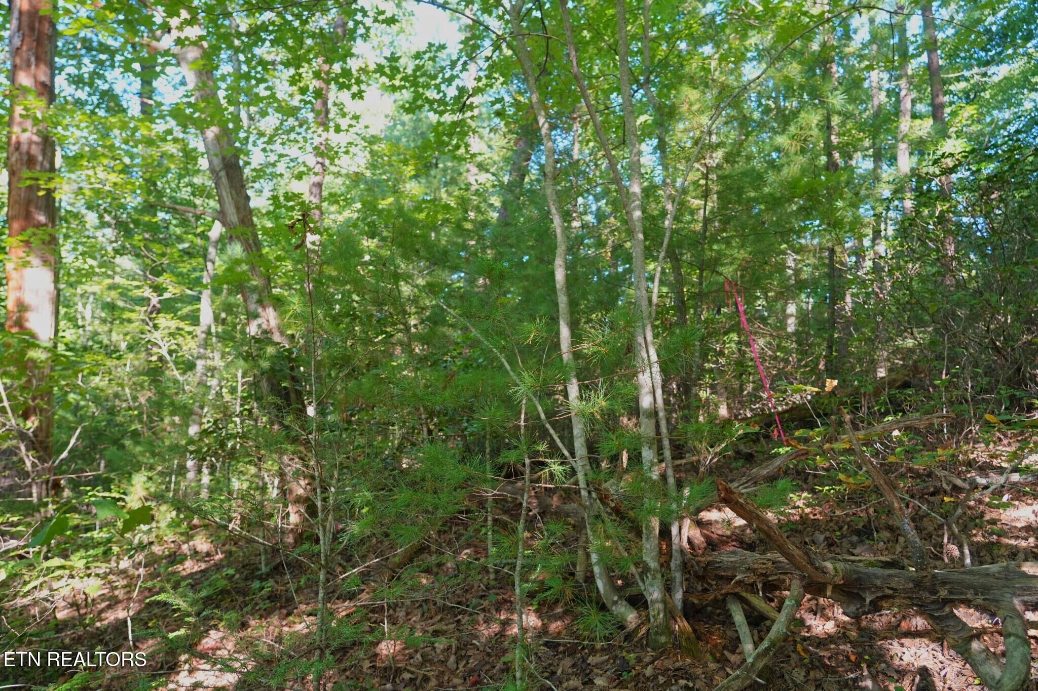3738 Oliver Way Sevierville TN 37876